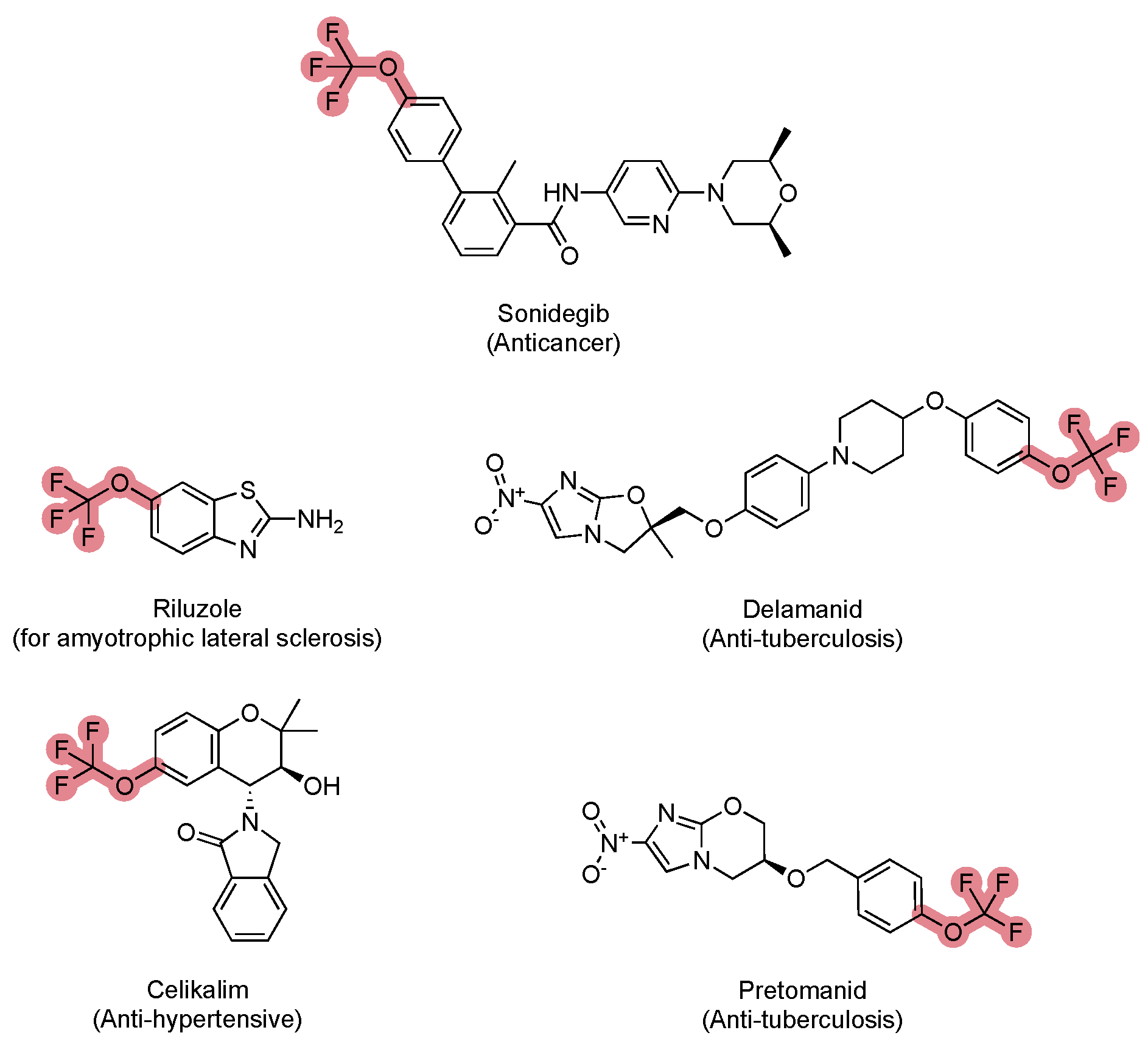 Molecules 30 03009 g004 Molecules 30 03009 g004