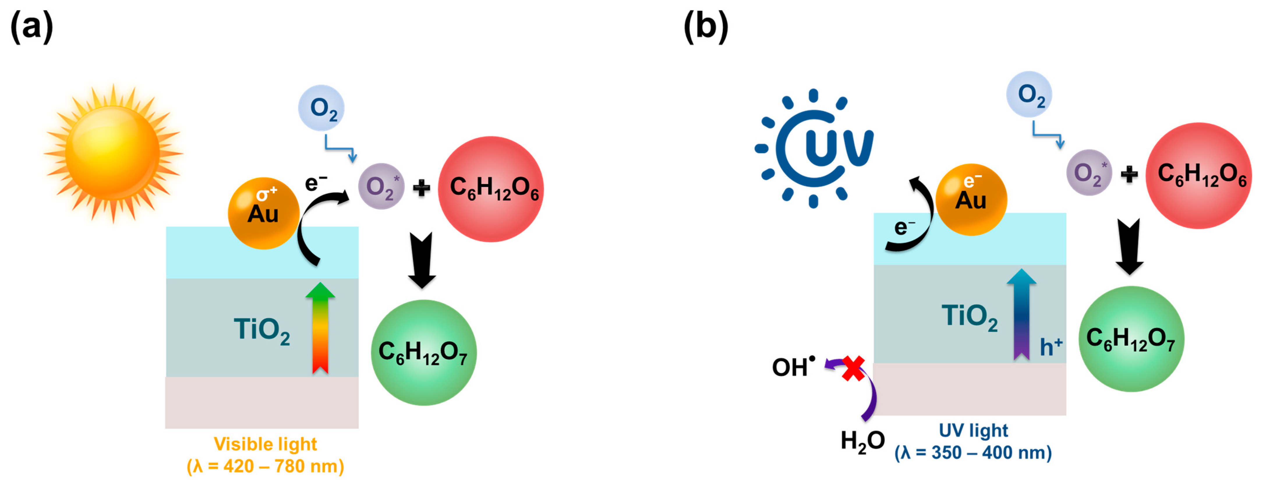 Molecules 30 03012 g005 Molecules 30 03012 g005