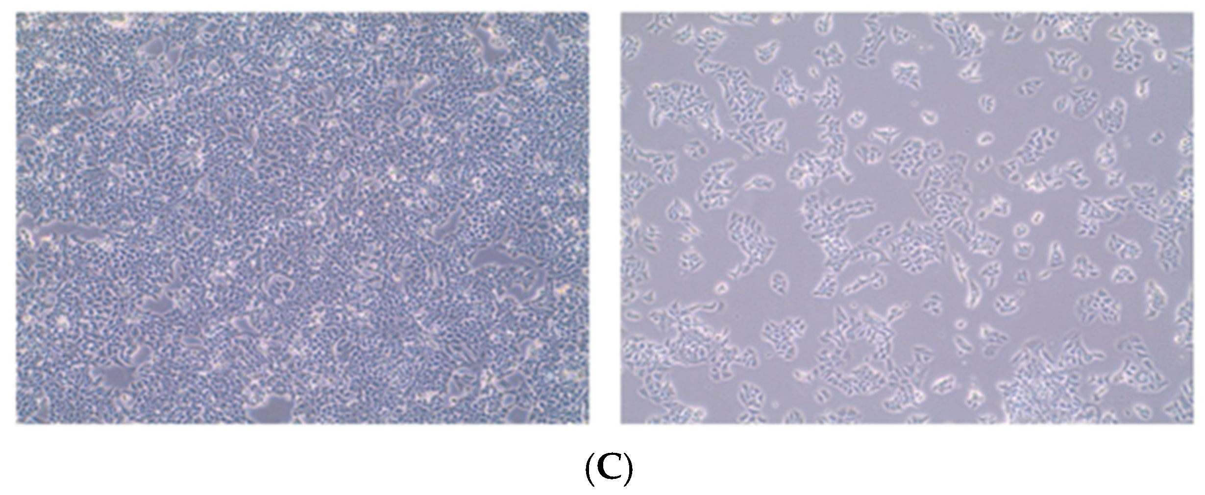 Molecules 30 03022 g003b
