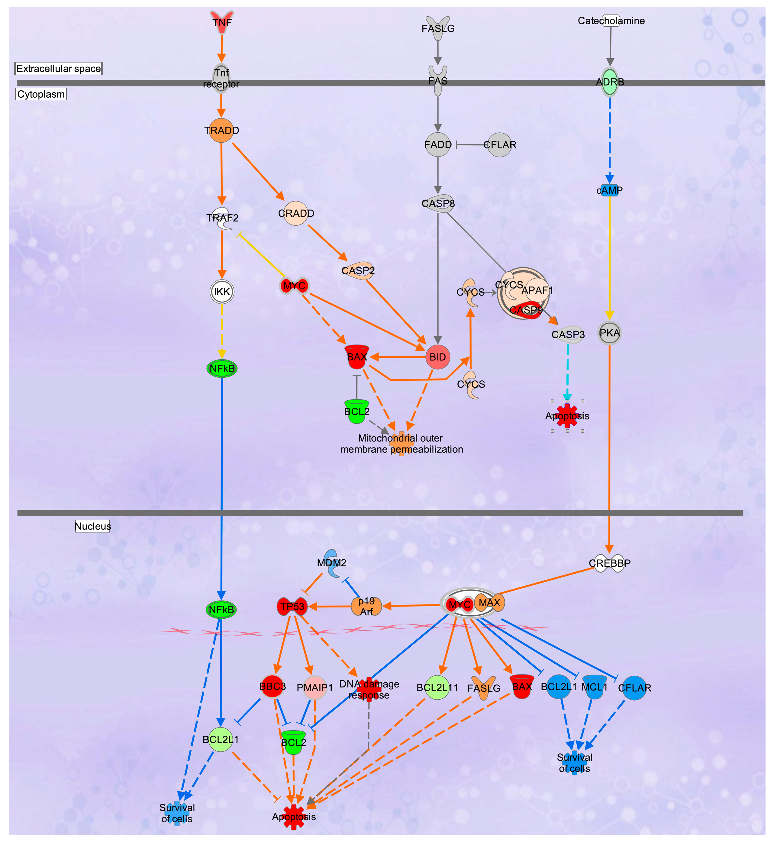 Molecules 30 03022 g009