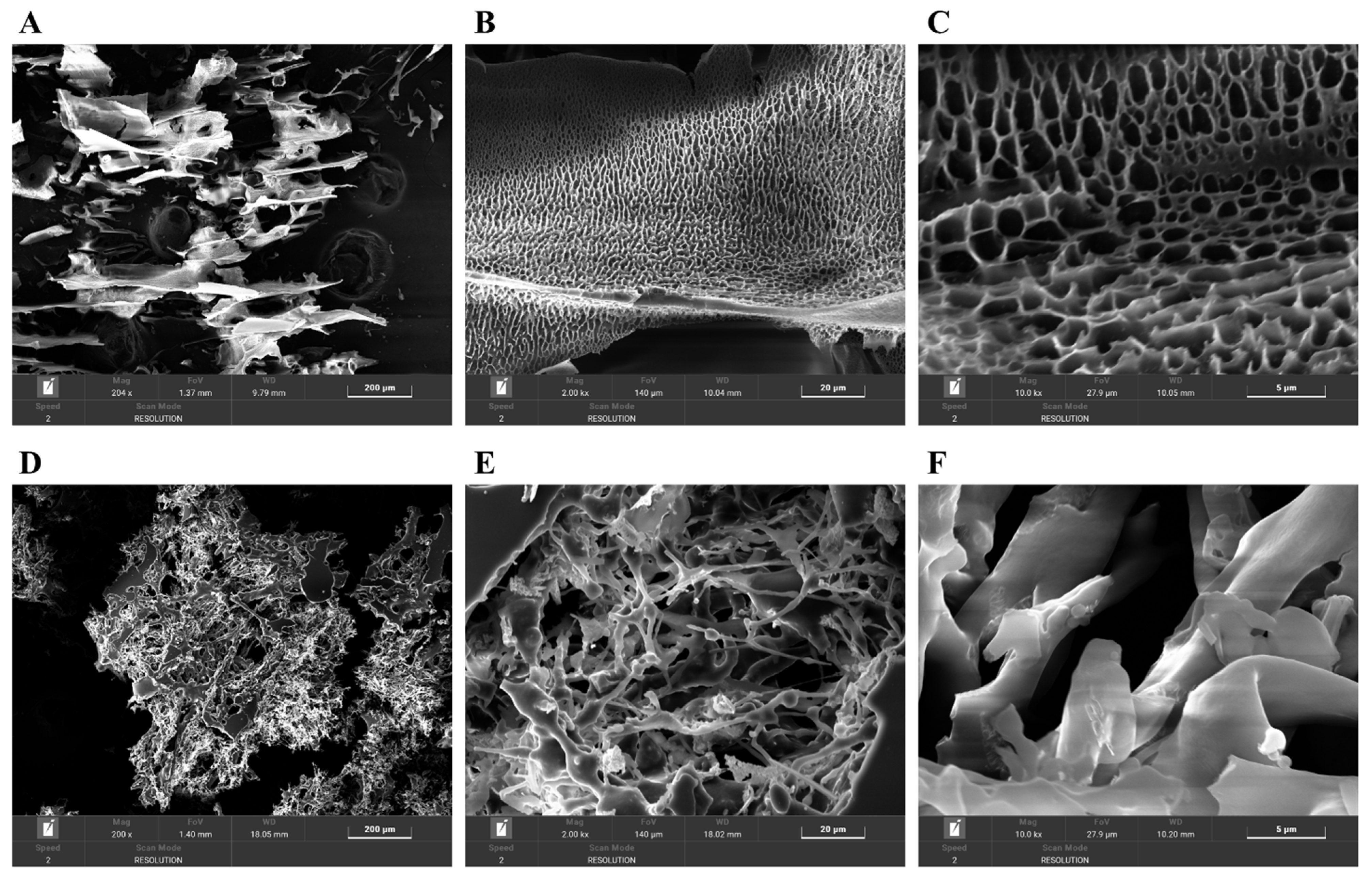Molecules 30 03031 g009