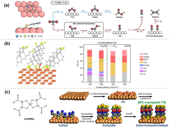 Molecules 30 03038 g001