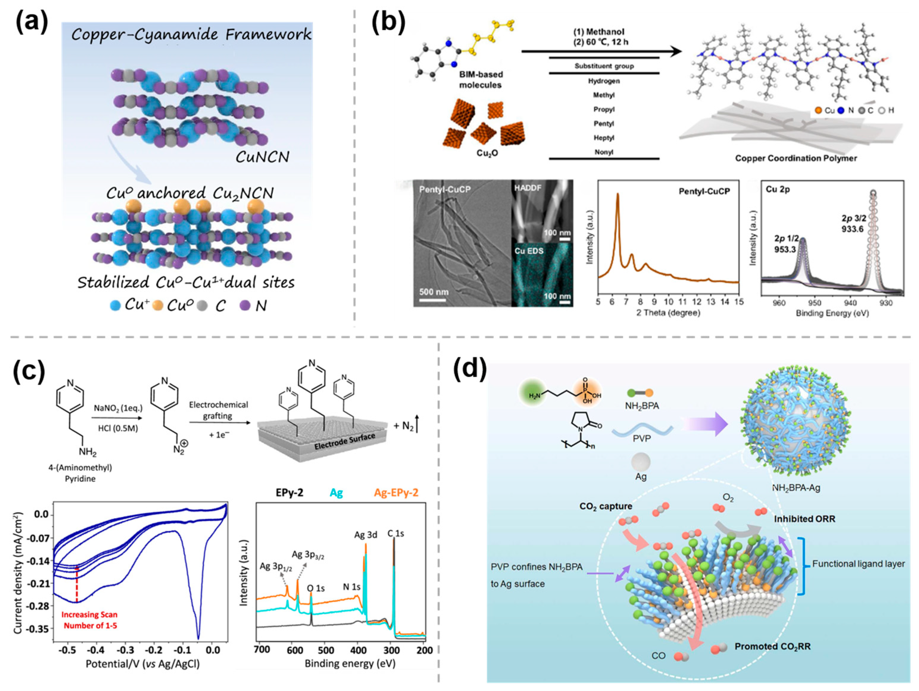 Molecules 30 03038 g002