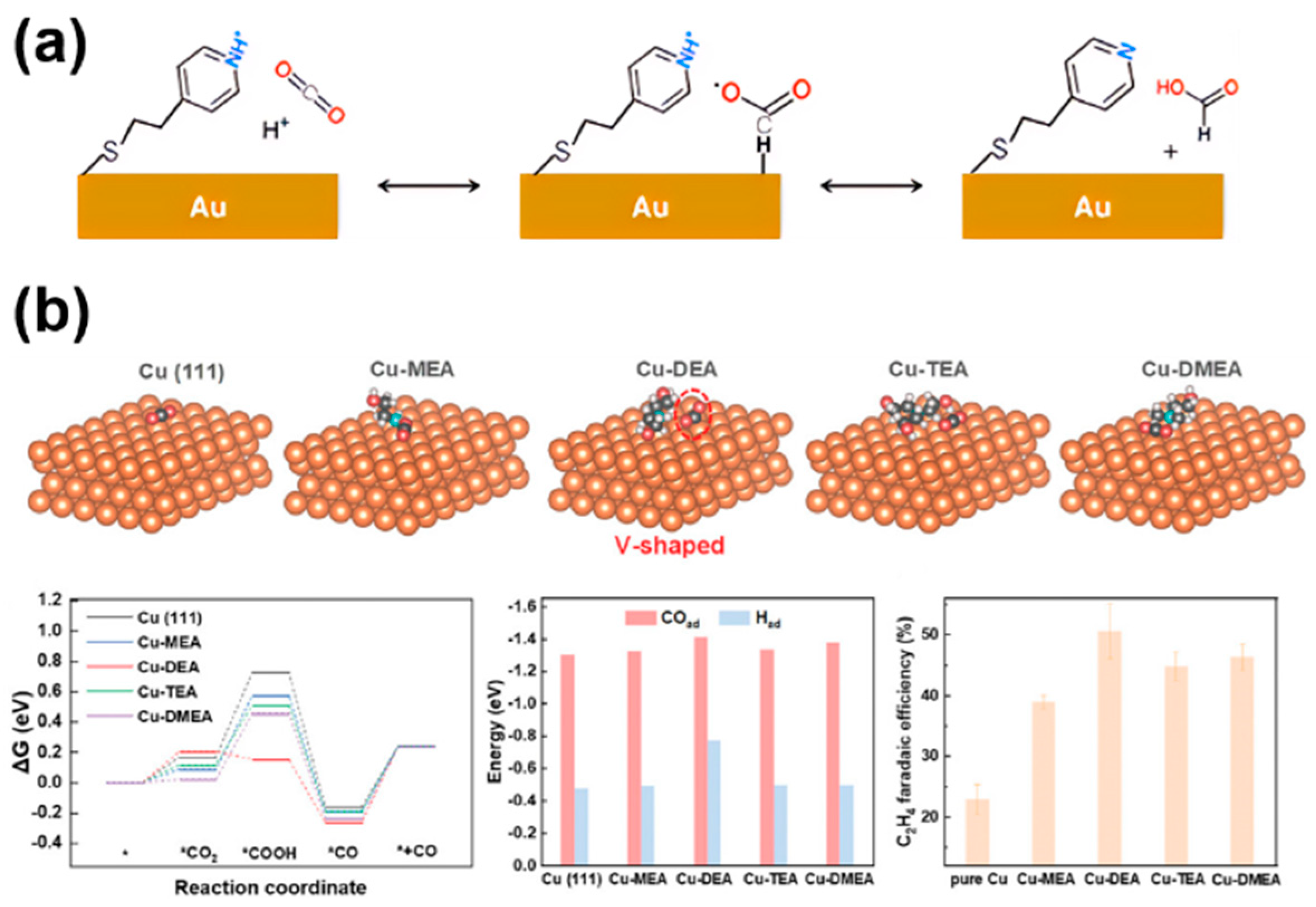 Molecules 30 03038 g007