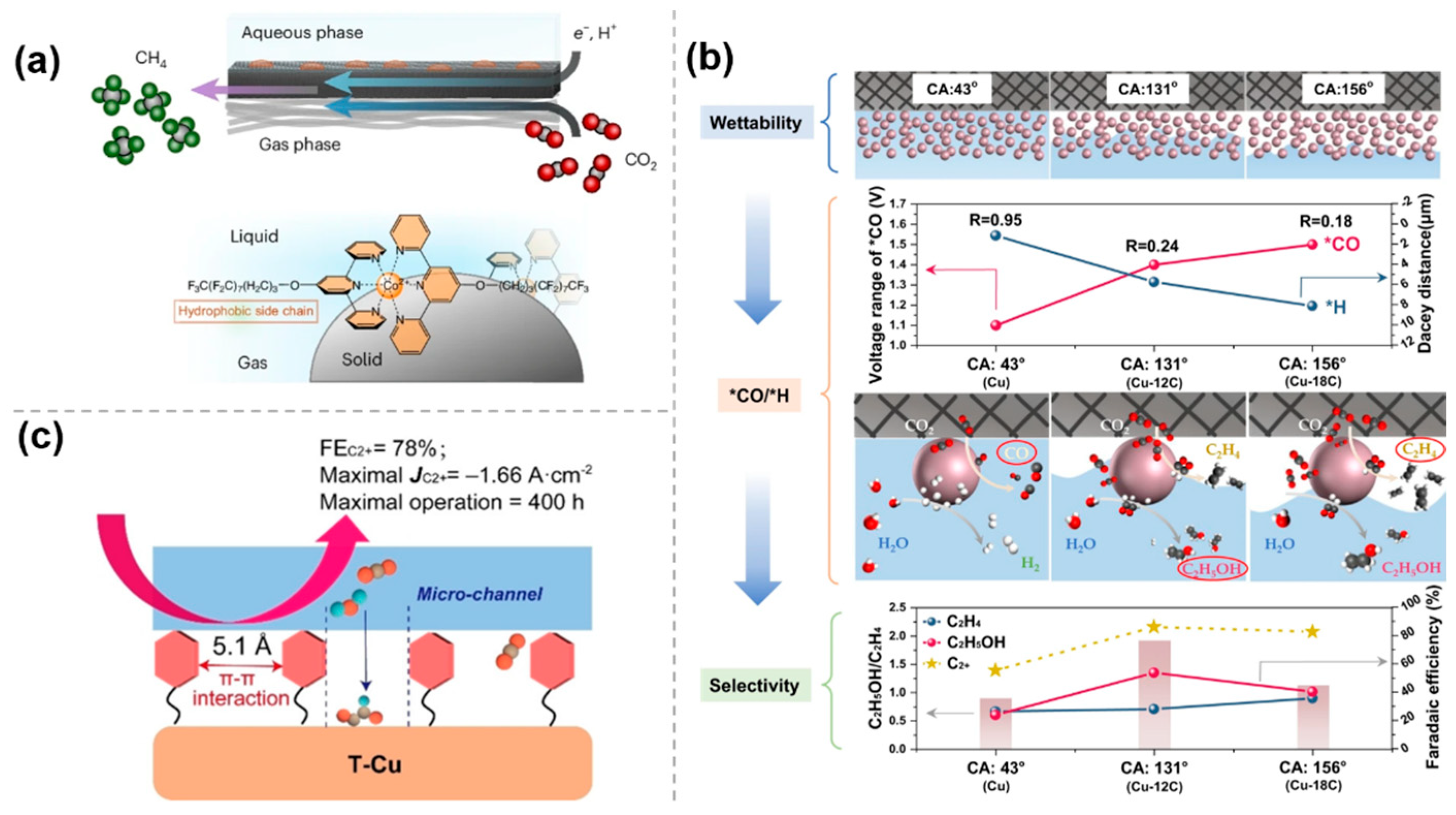 Molecules 30 03038 g008