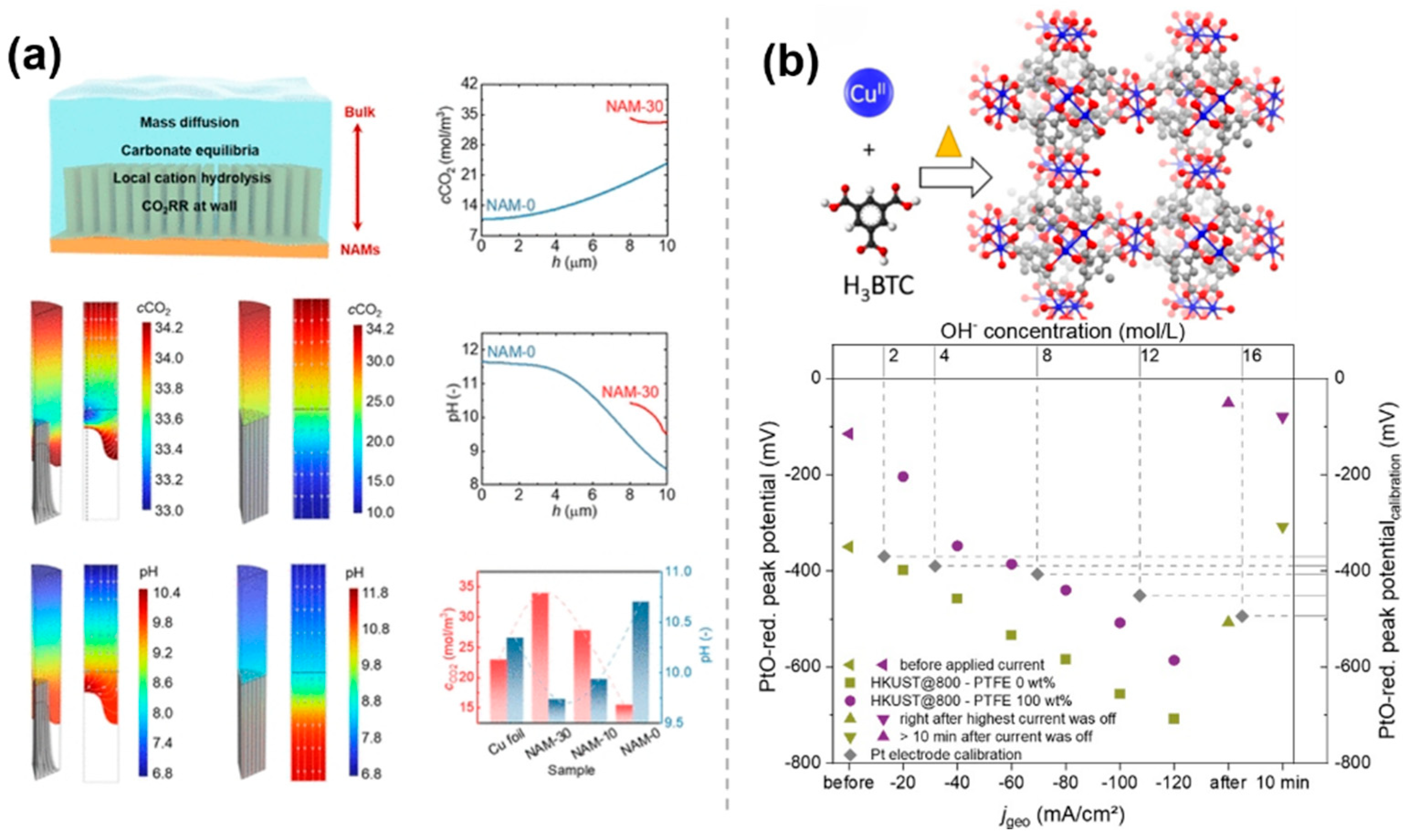 Molecules 30 03038 g009