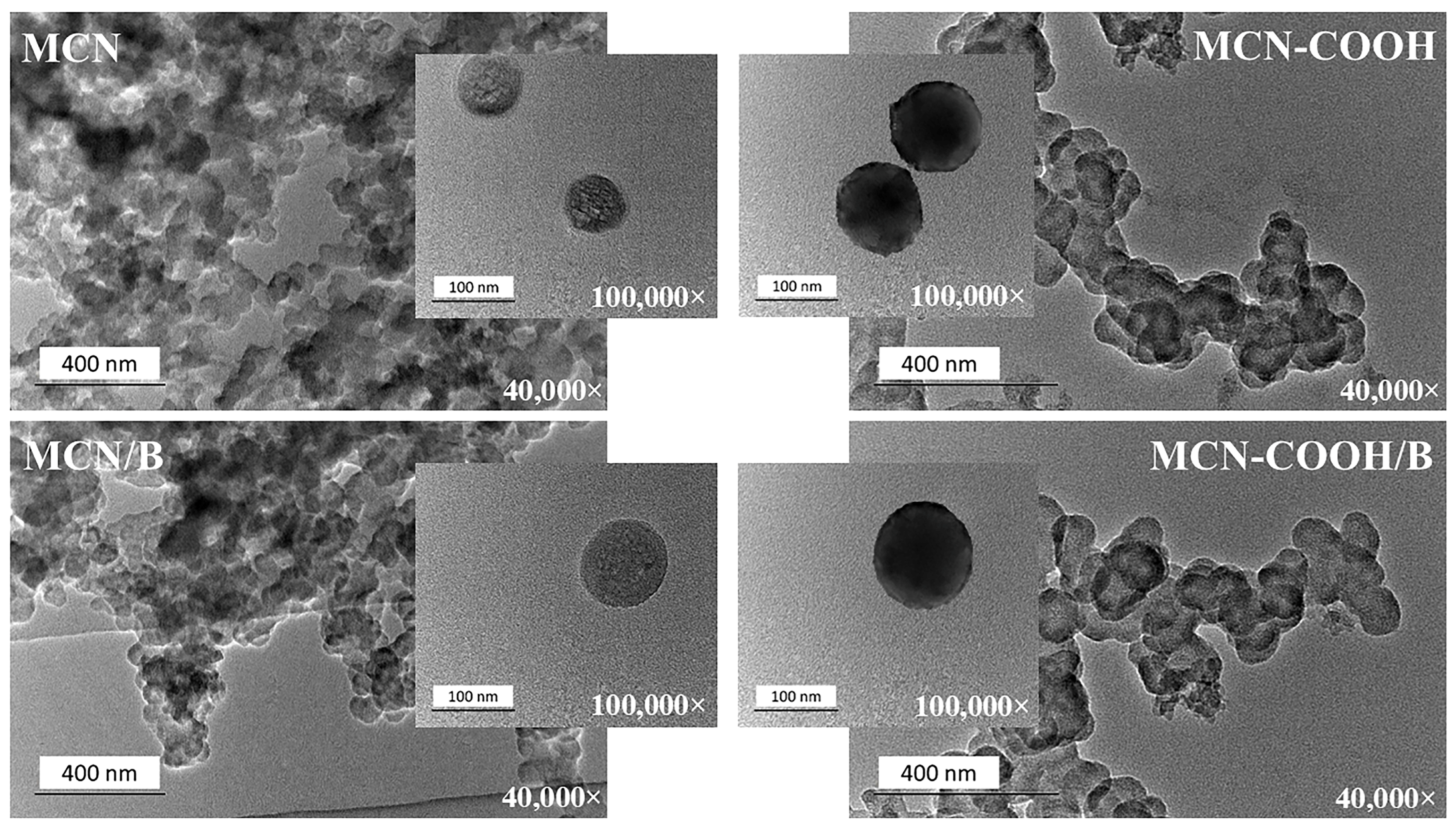Molecules 30 03055 g005