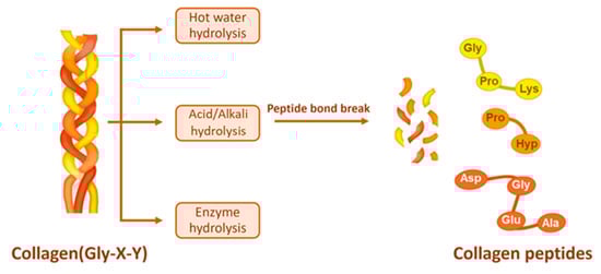 Molecules 30 03061 g003