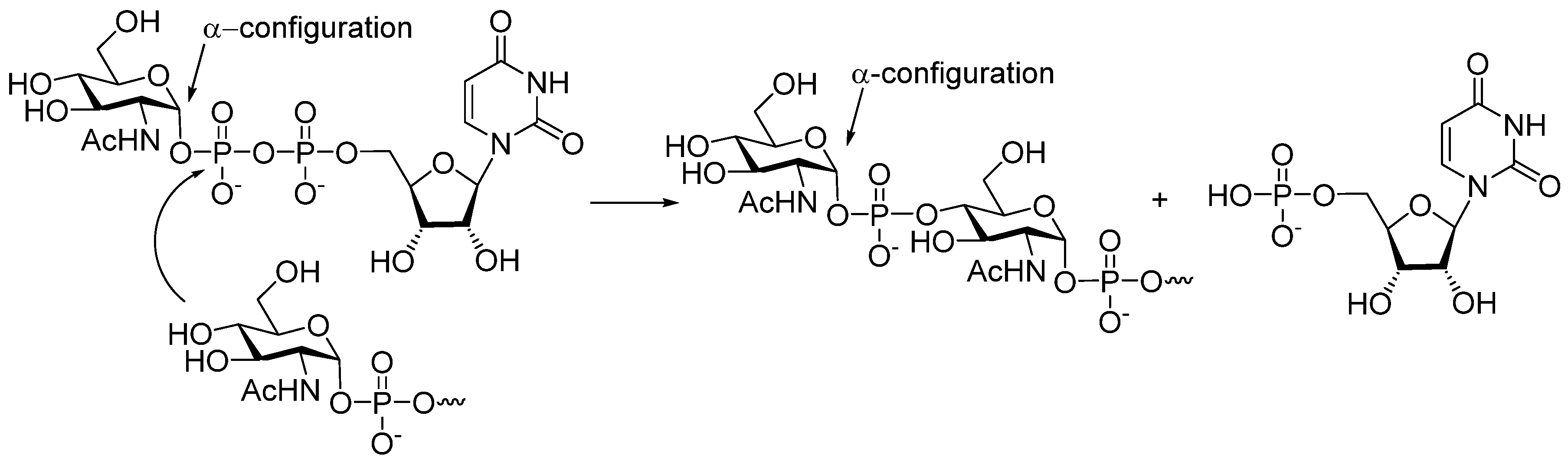Molecules 30 03068 g002