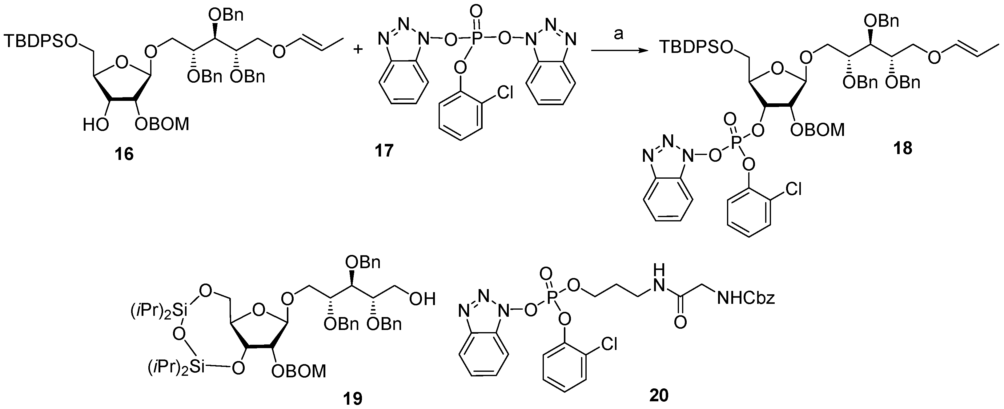 Molecules 30 03068 sch001