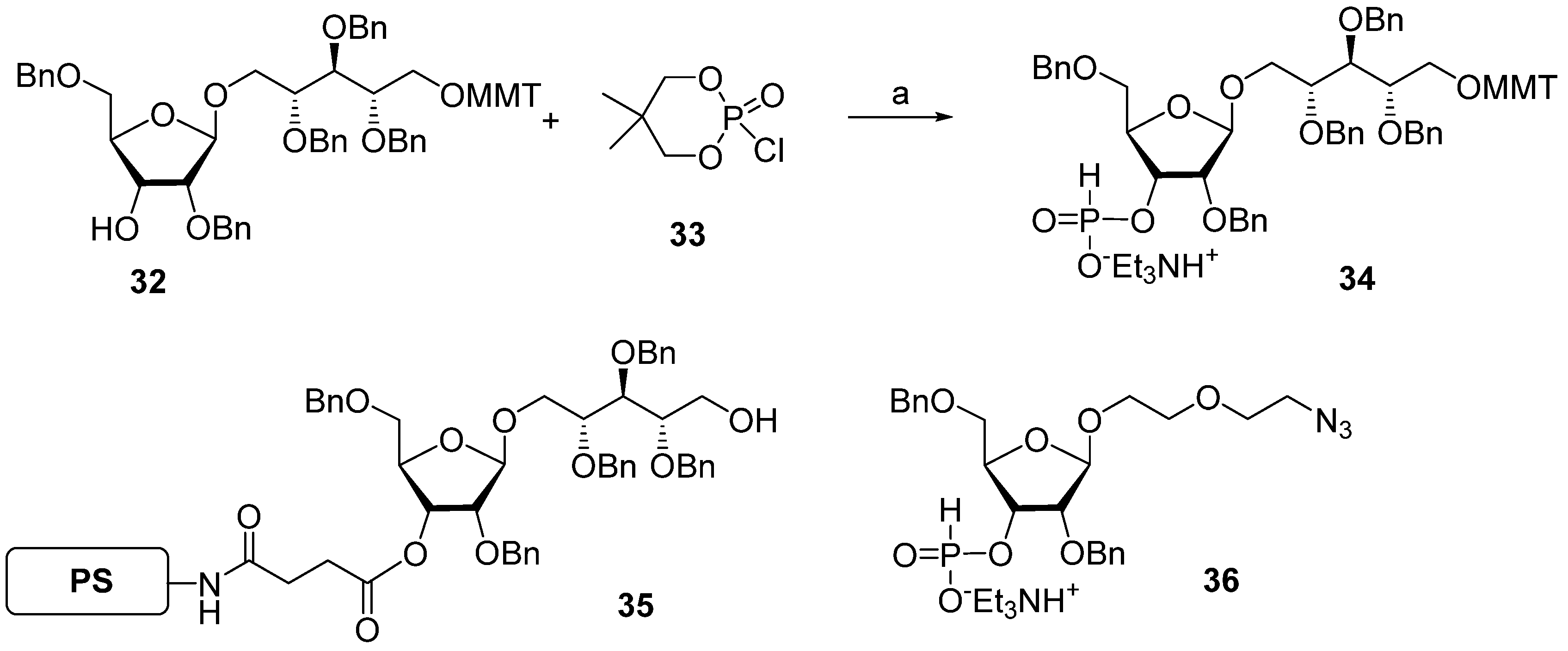 Molecules 30 03068 sch004