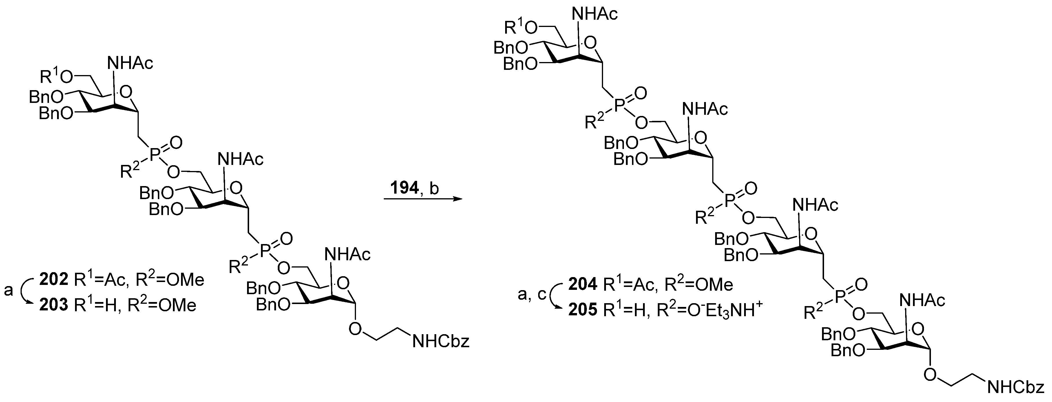 Molecules 30 03068 sch016
