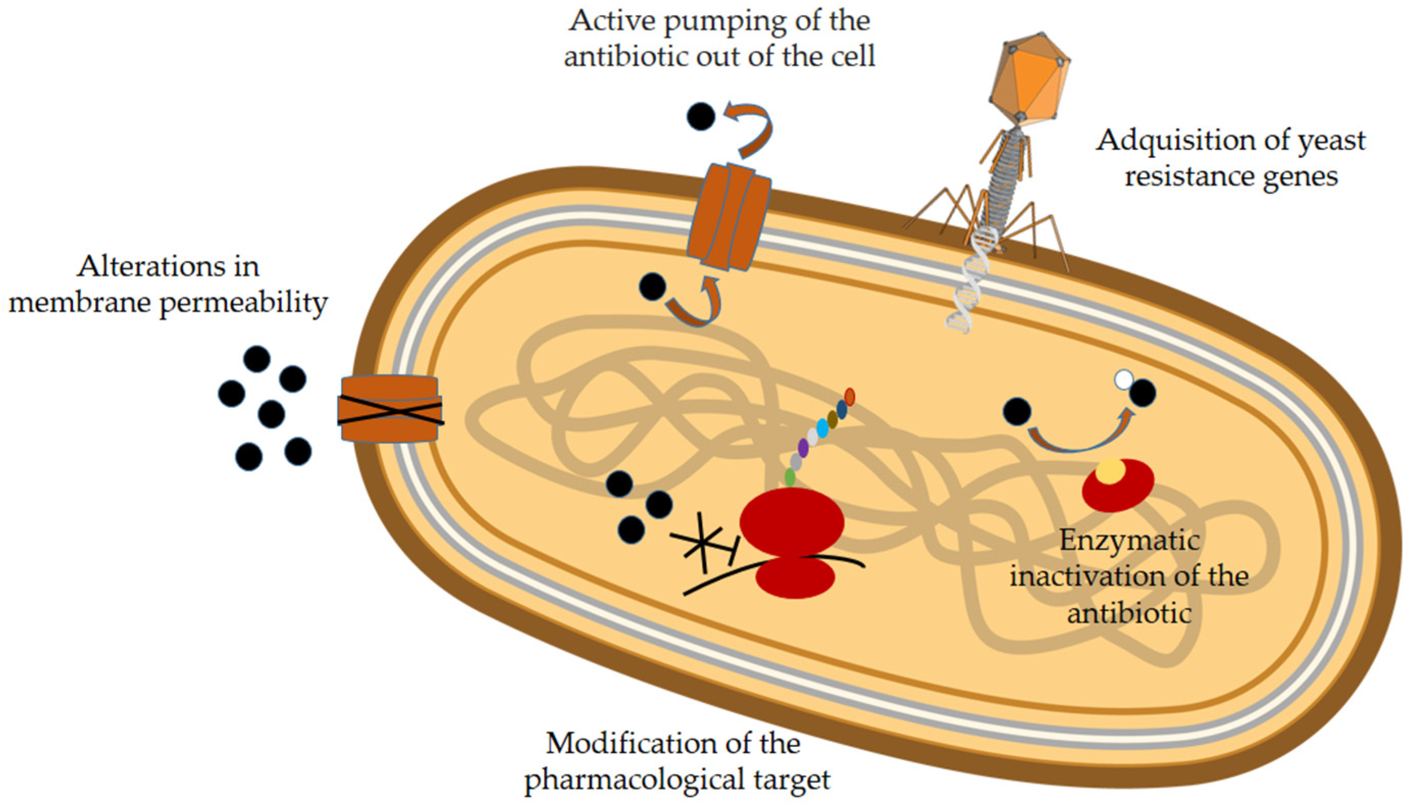 Molecules 30 03070 g001