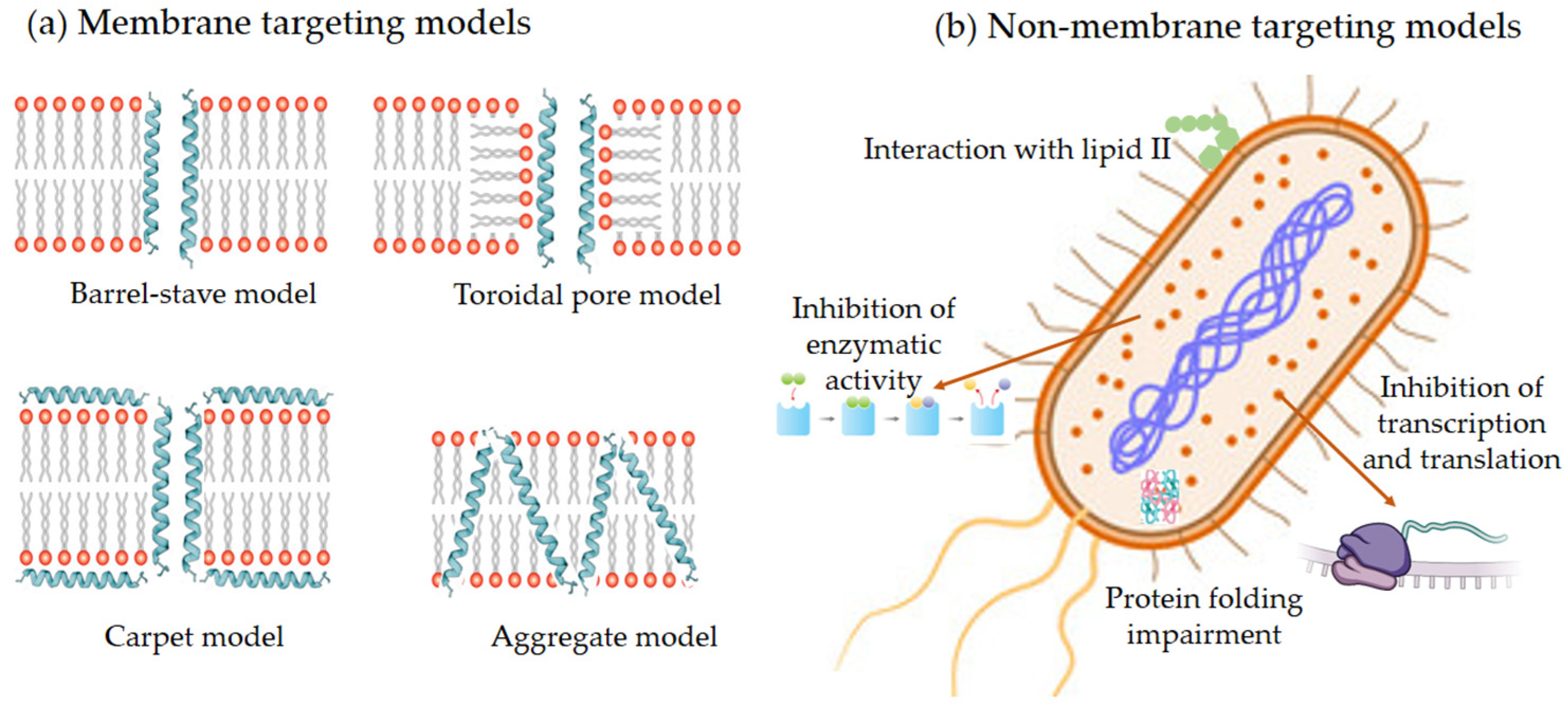 Molecules 30 03070 g005