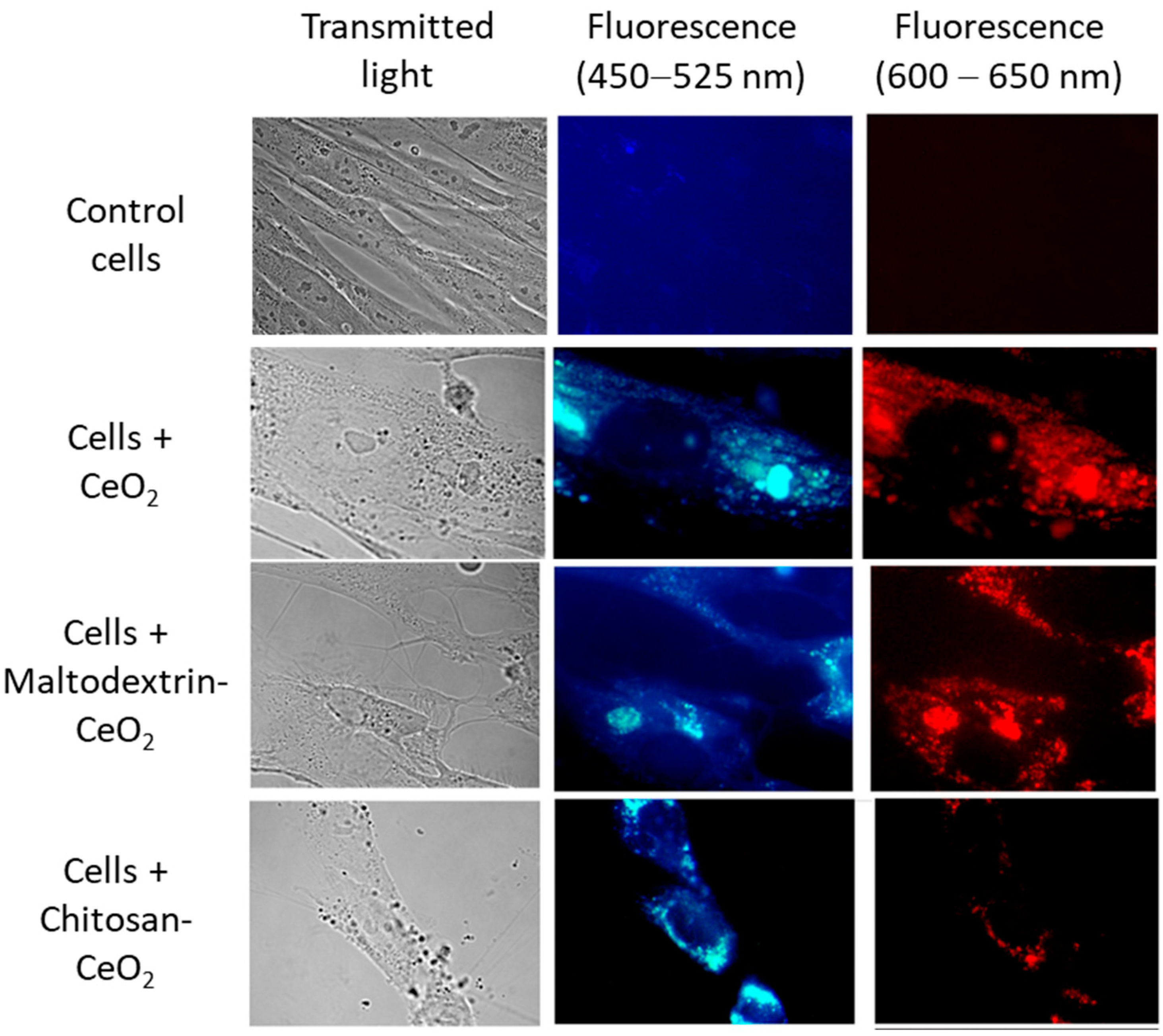 Molecules 30 03078 g002