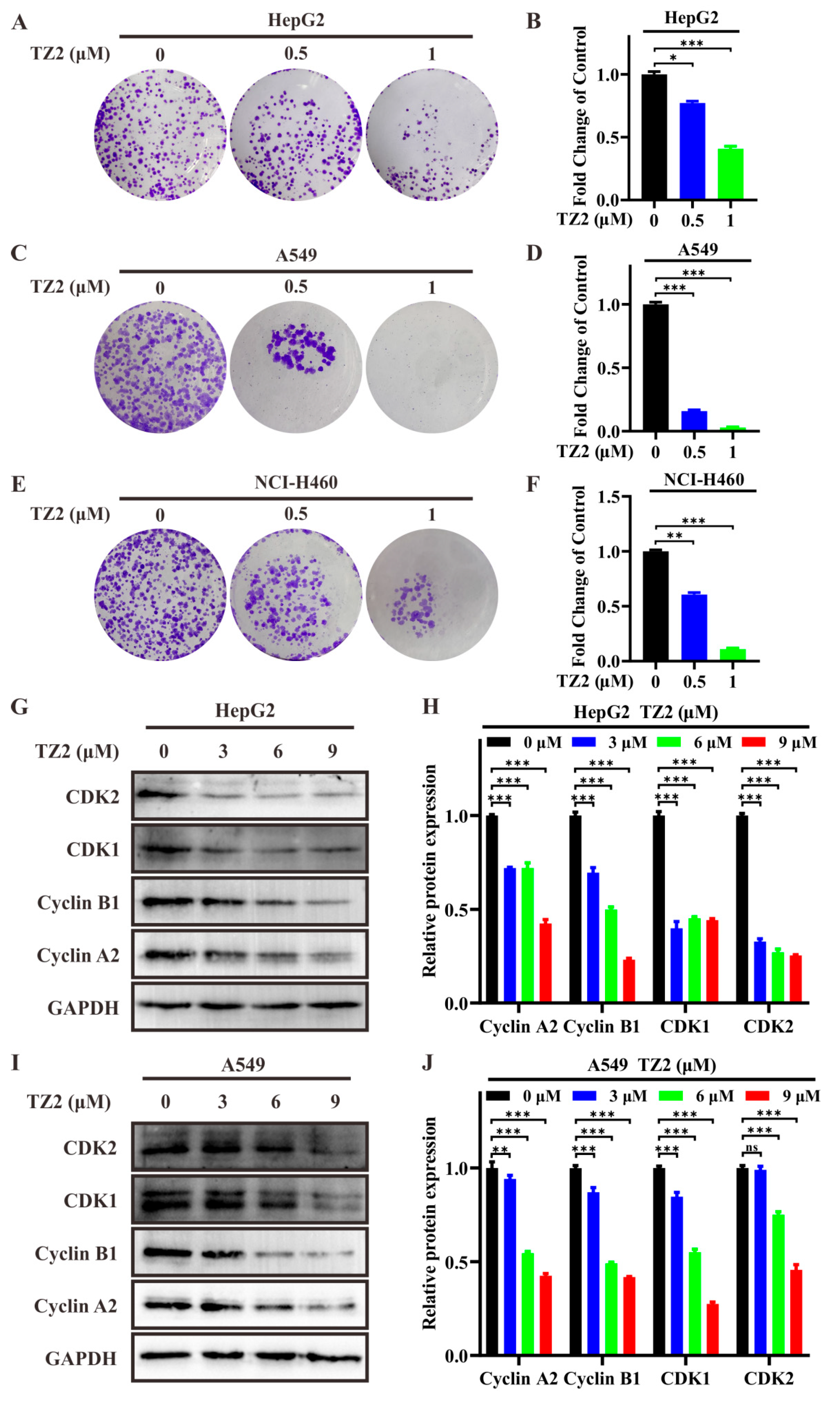 Molecules 30 03081 g003