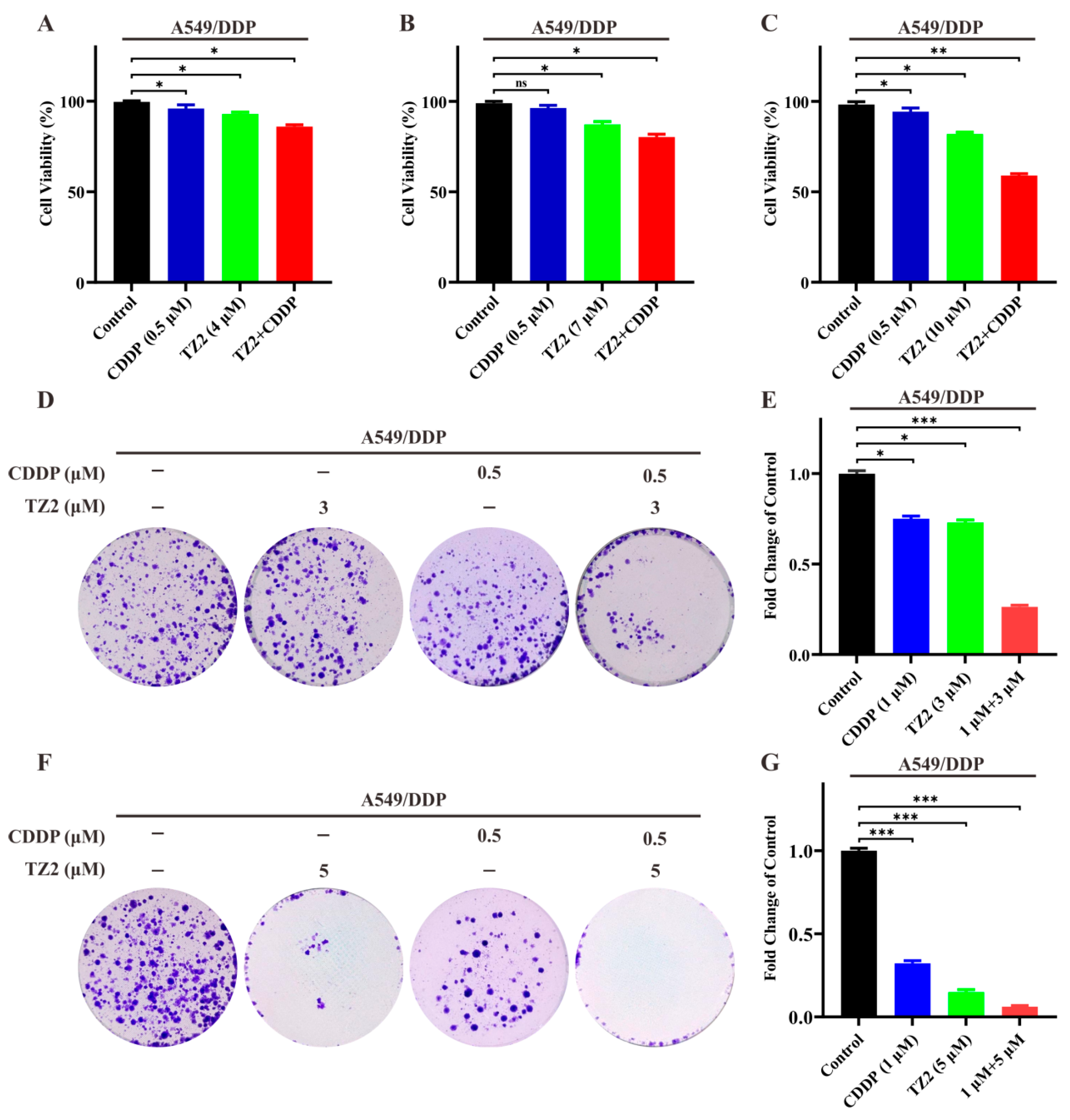 Molecules 30 03081 g004