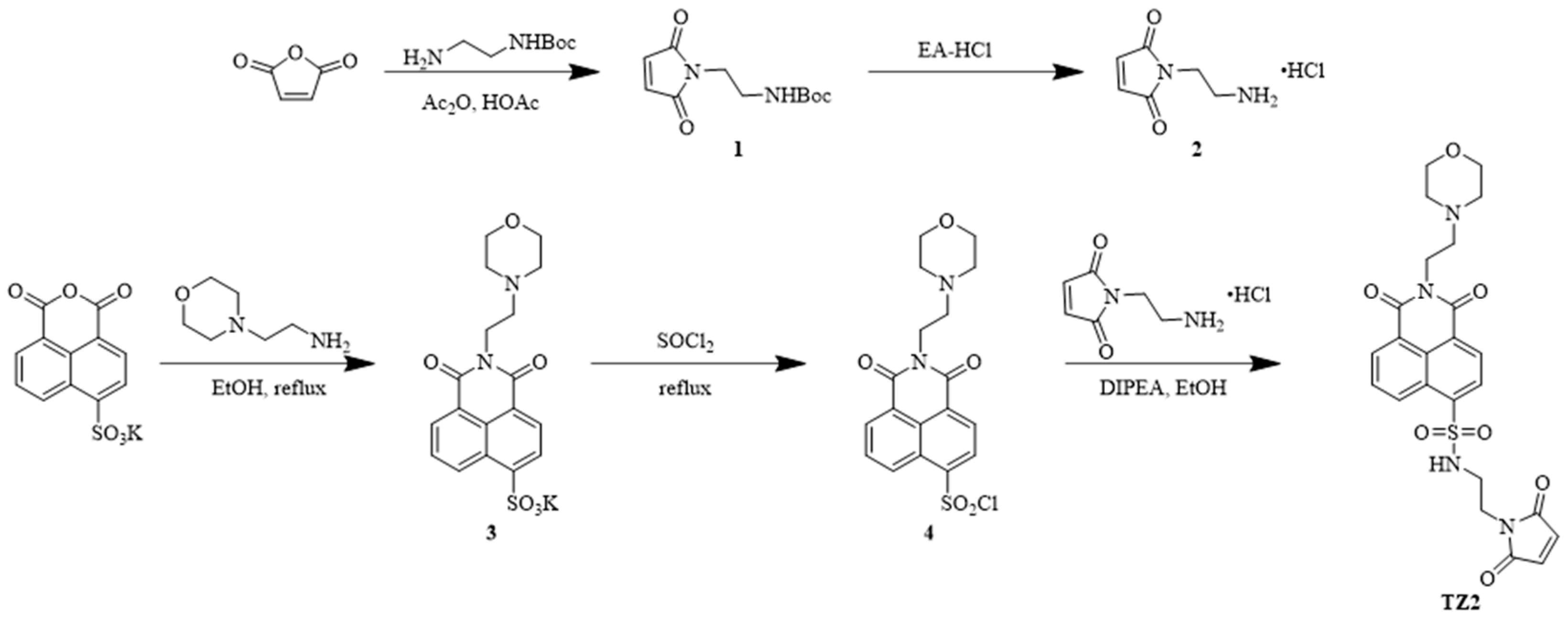 Molecules 30 03081 sch001