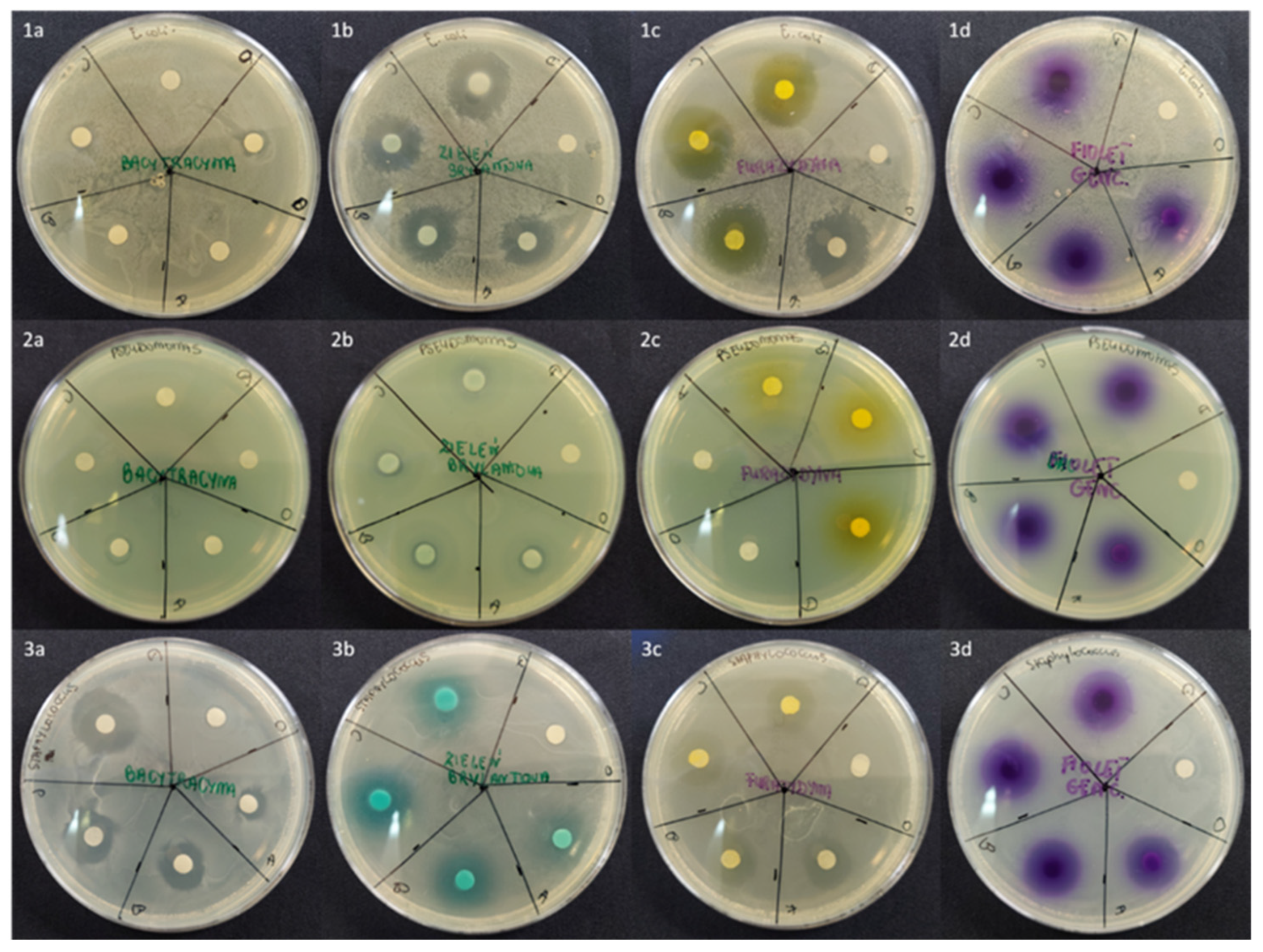 Molecules 30 03083 g001