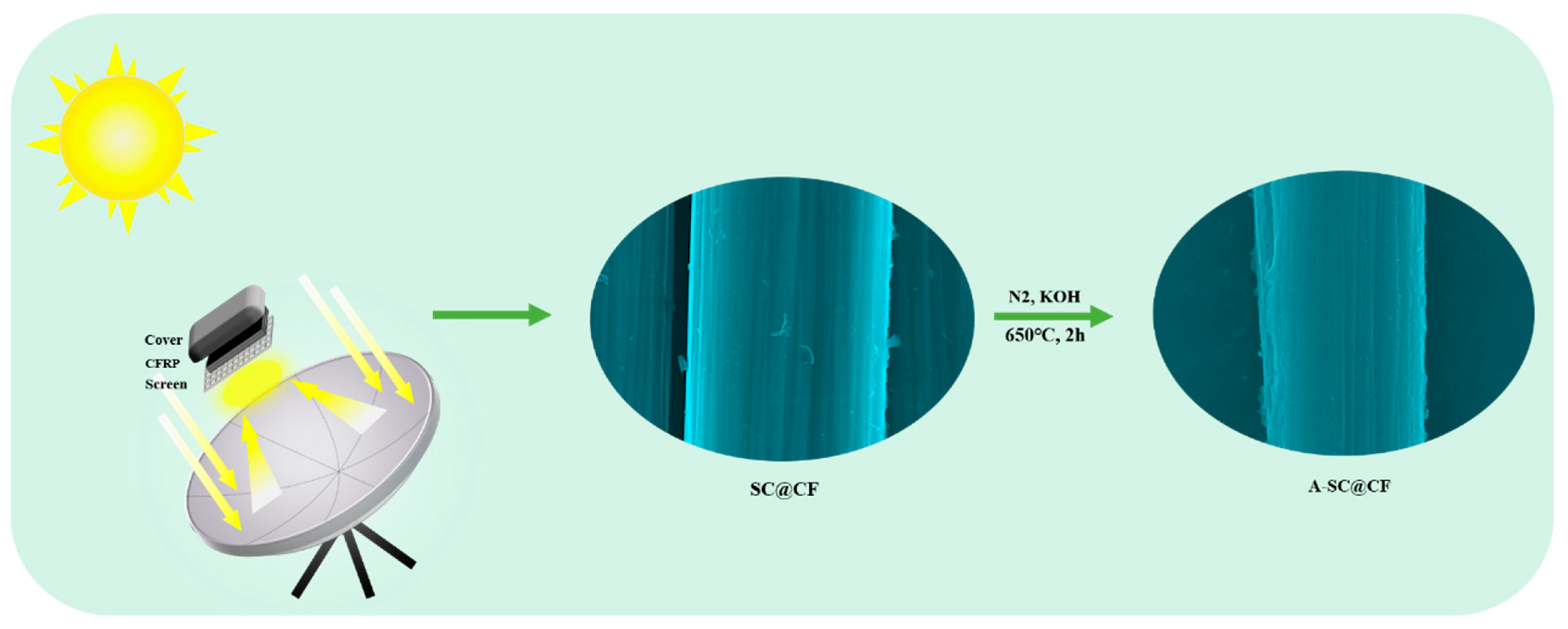 Molecules 30 03093 g001