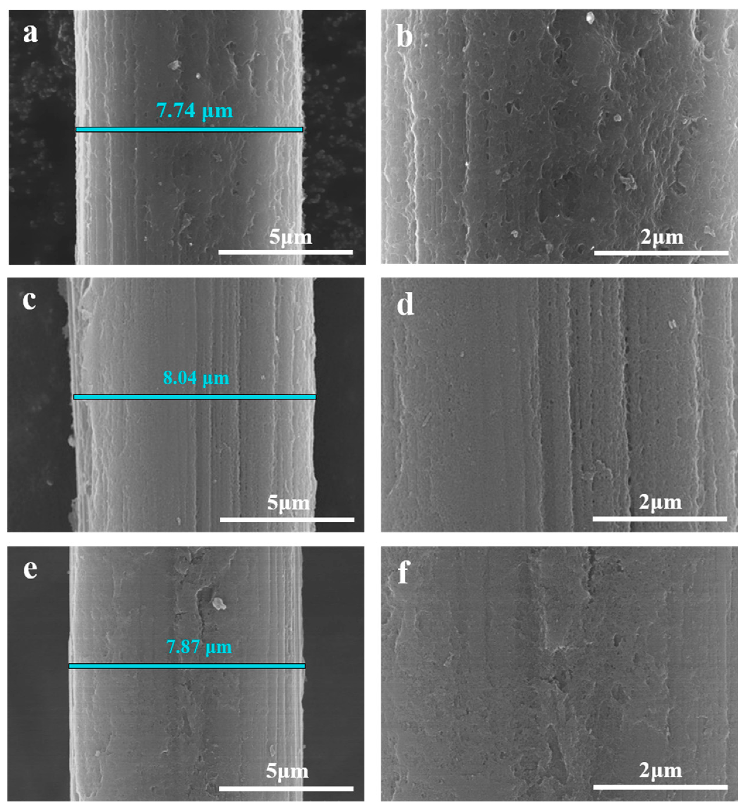 Molecules 30 03093 g004