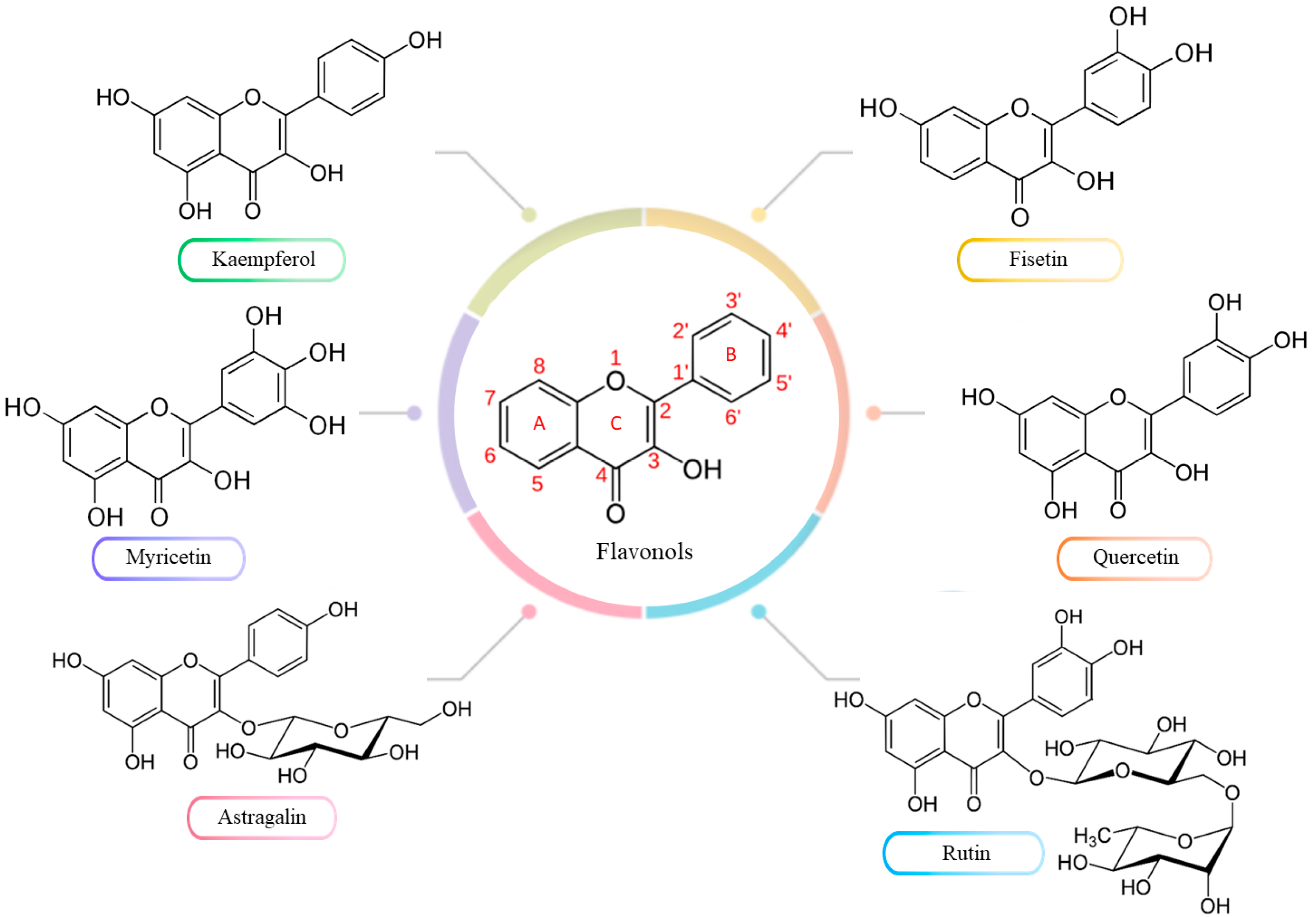 Molecules 30 03113 g002 Molecules 30 03113 g002