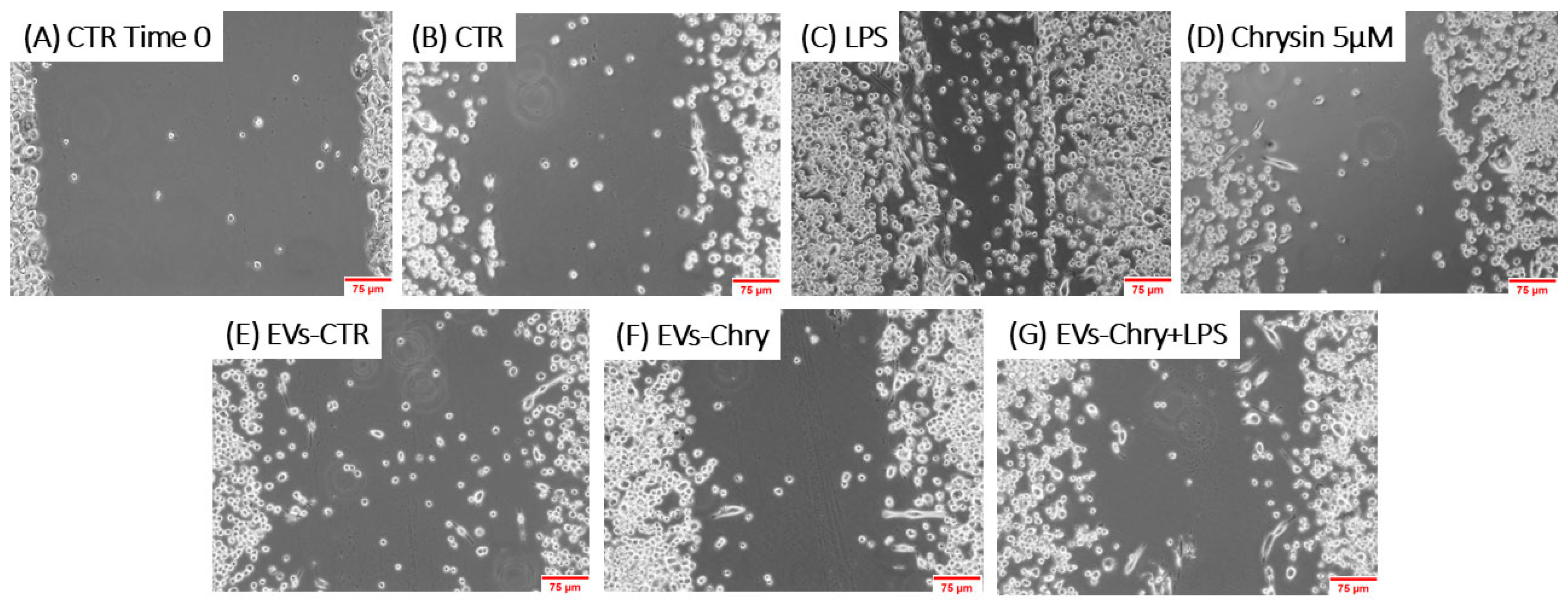 Molecules 30 03131 g006