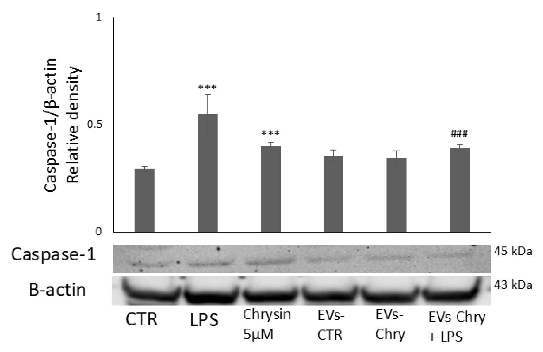 Molecules 30 03131 g009