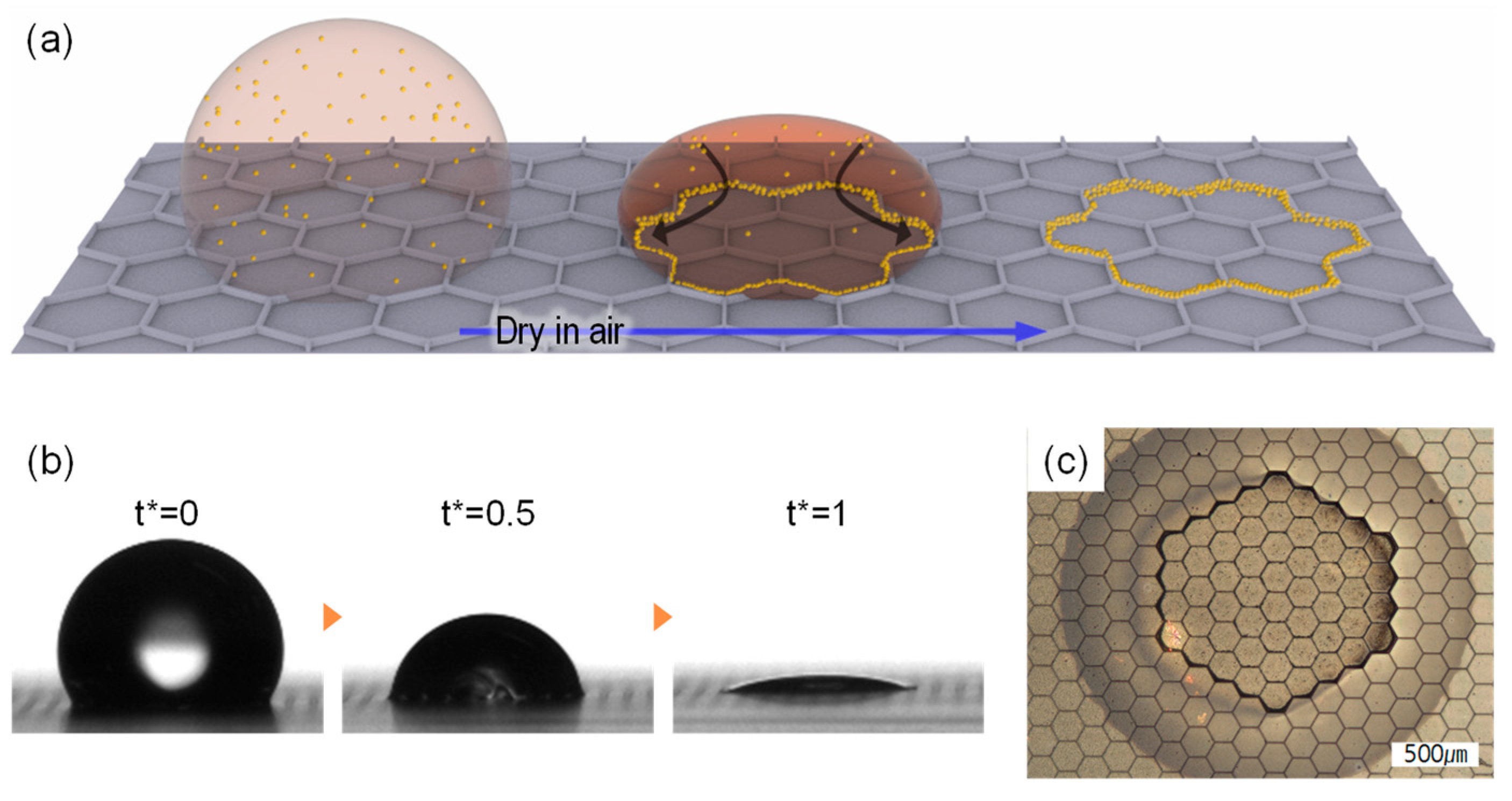 Molecules 30 03146 g001