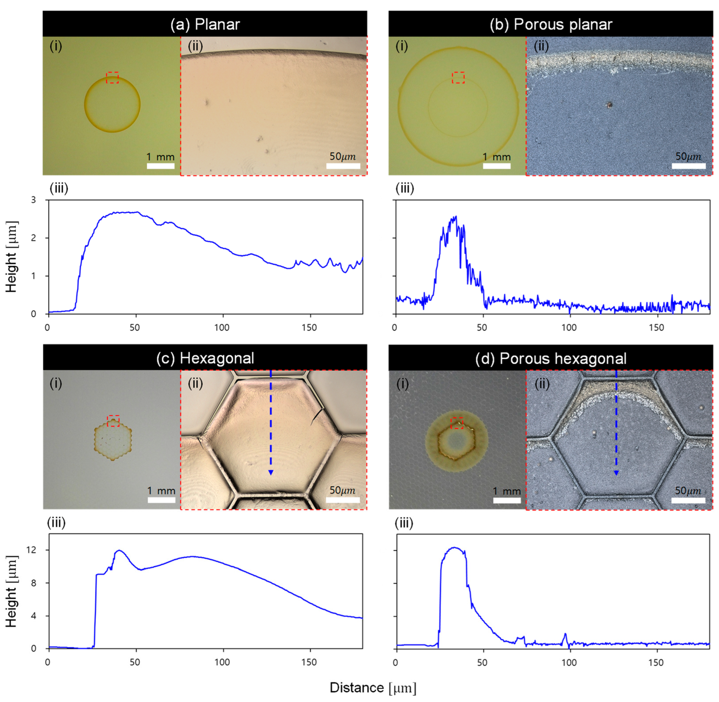 Molecules 30 03146 g003