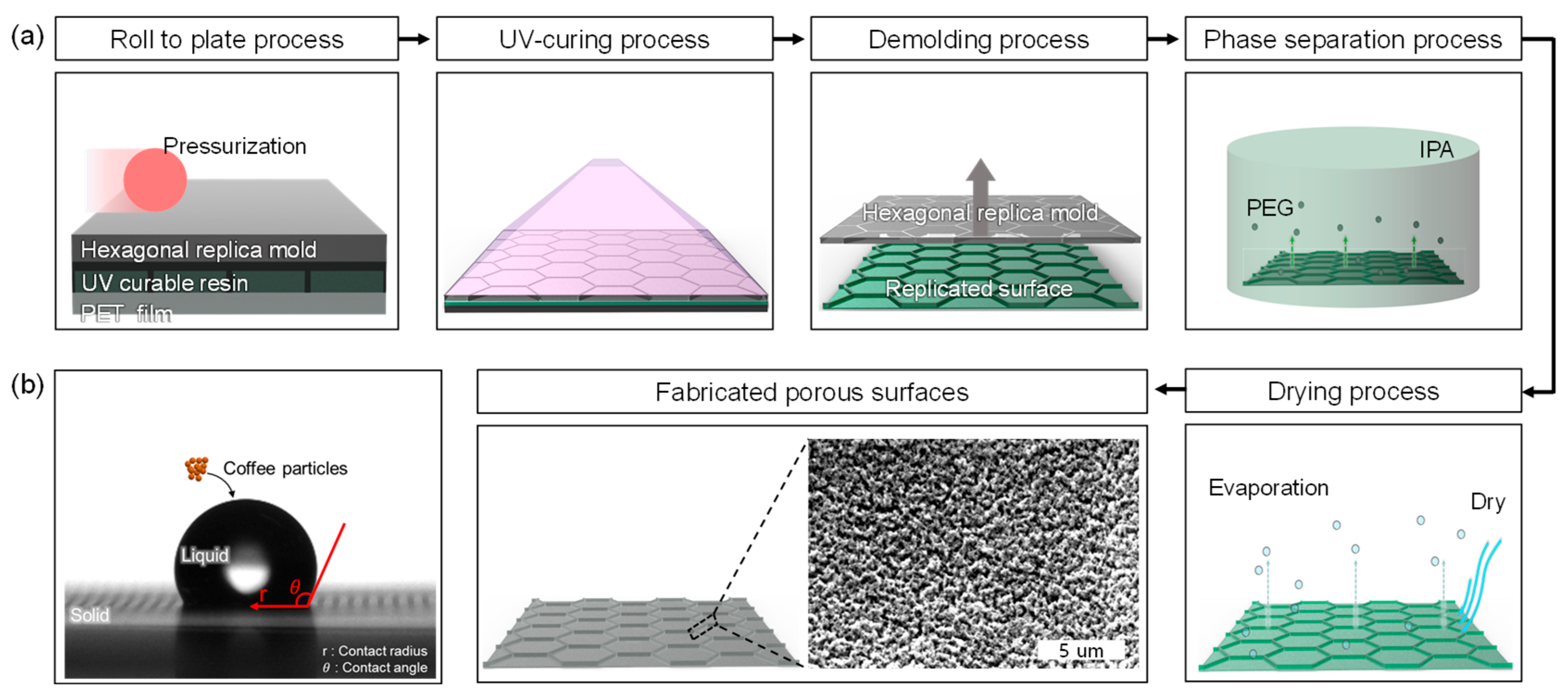 Molecules 30 03146 g004