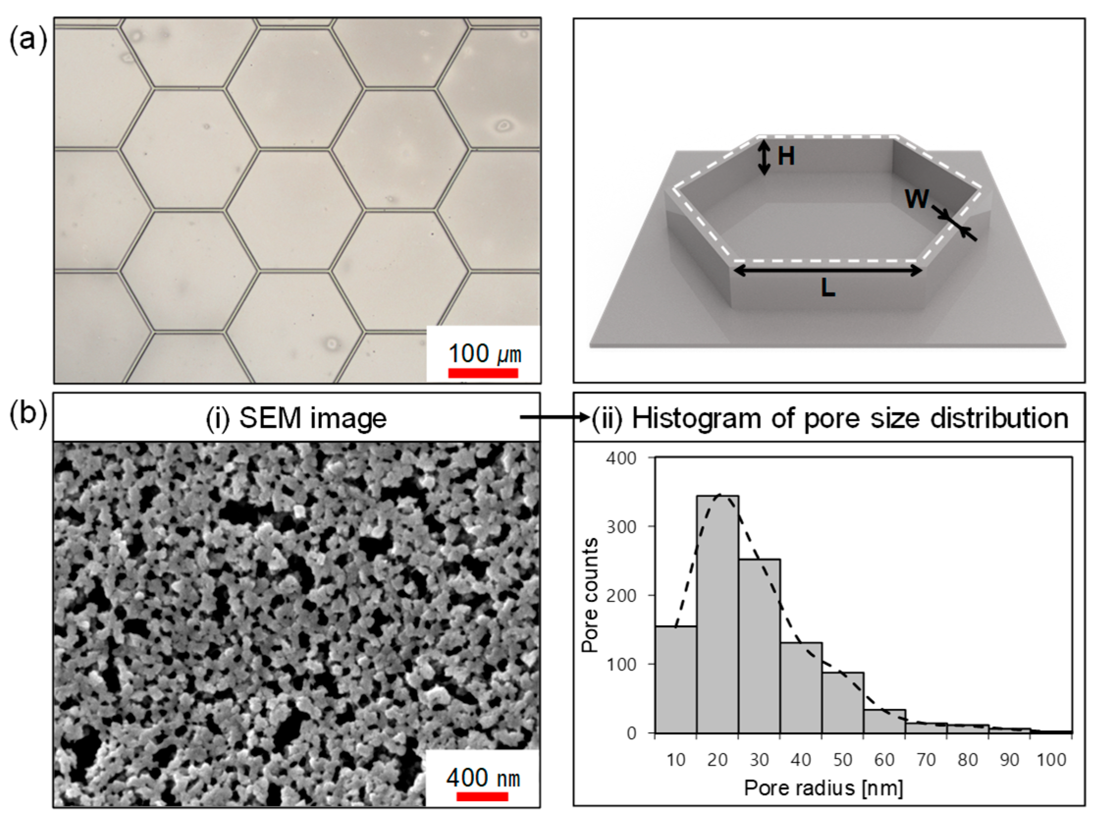 Molecules 30 03146 g005