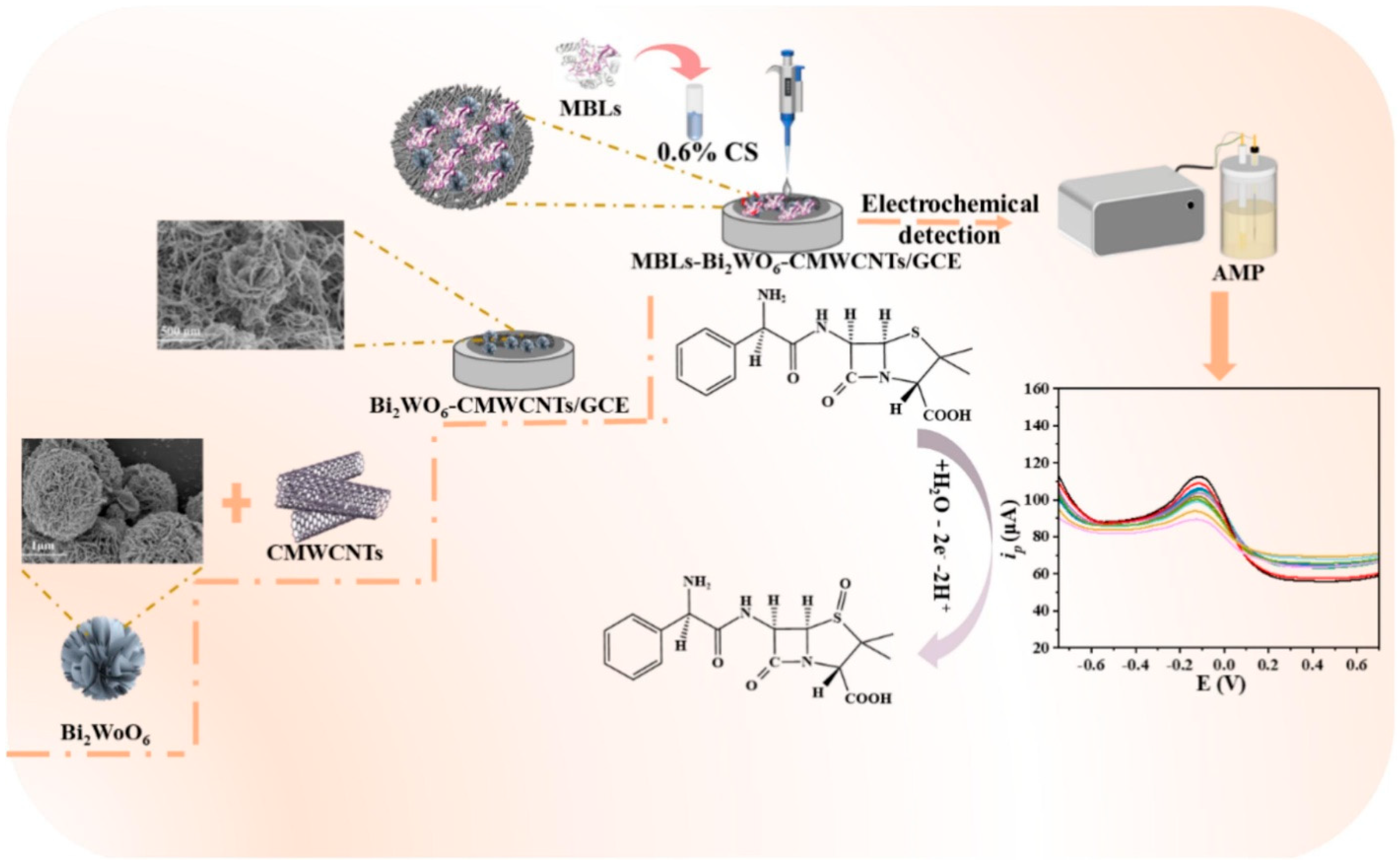 Molecules 30 03149 g002