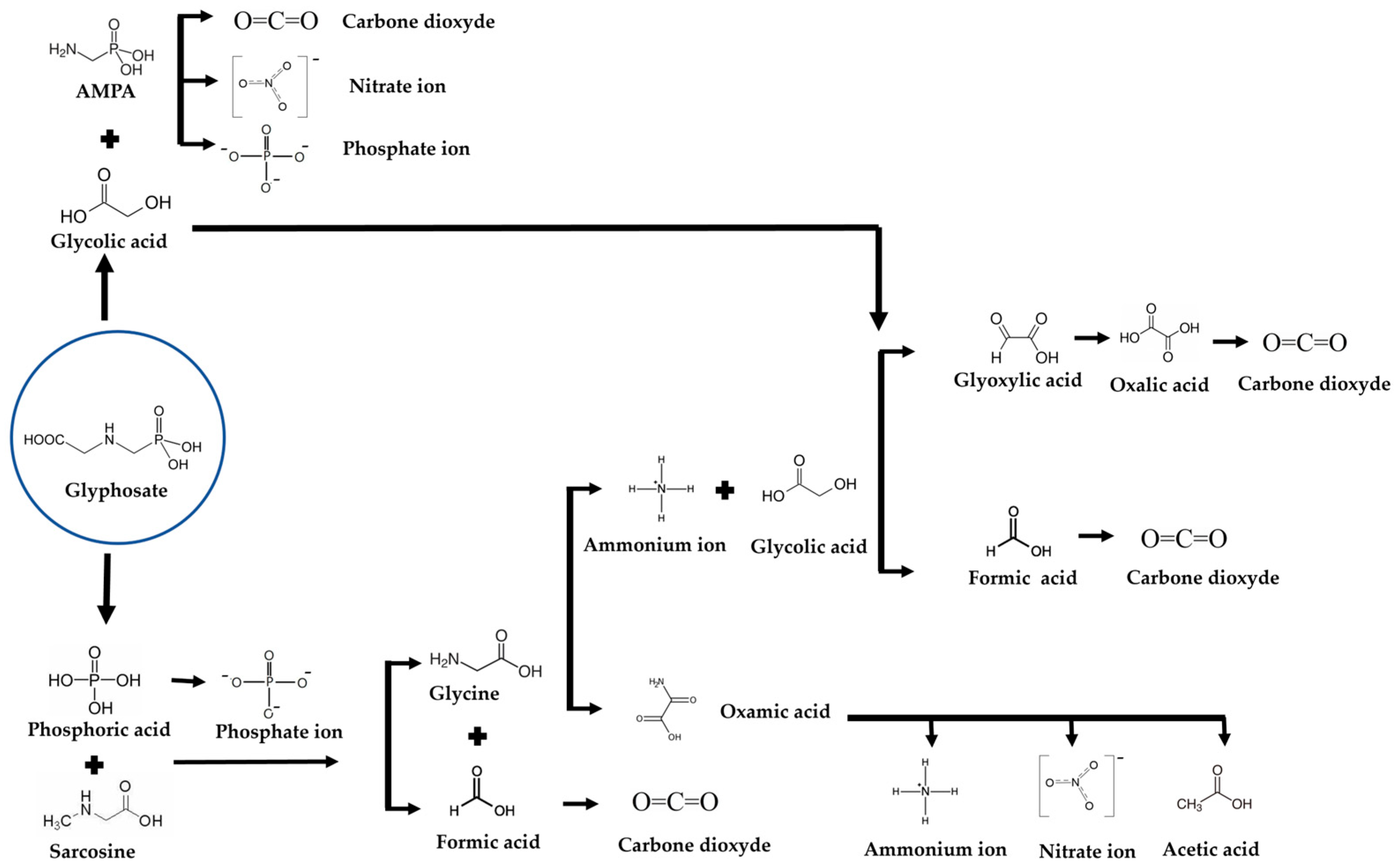Molecules 30 03153 g009