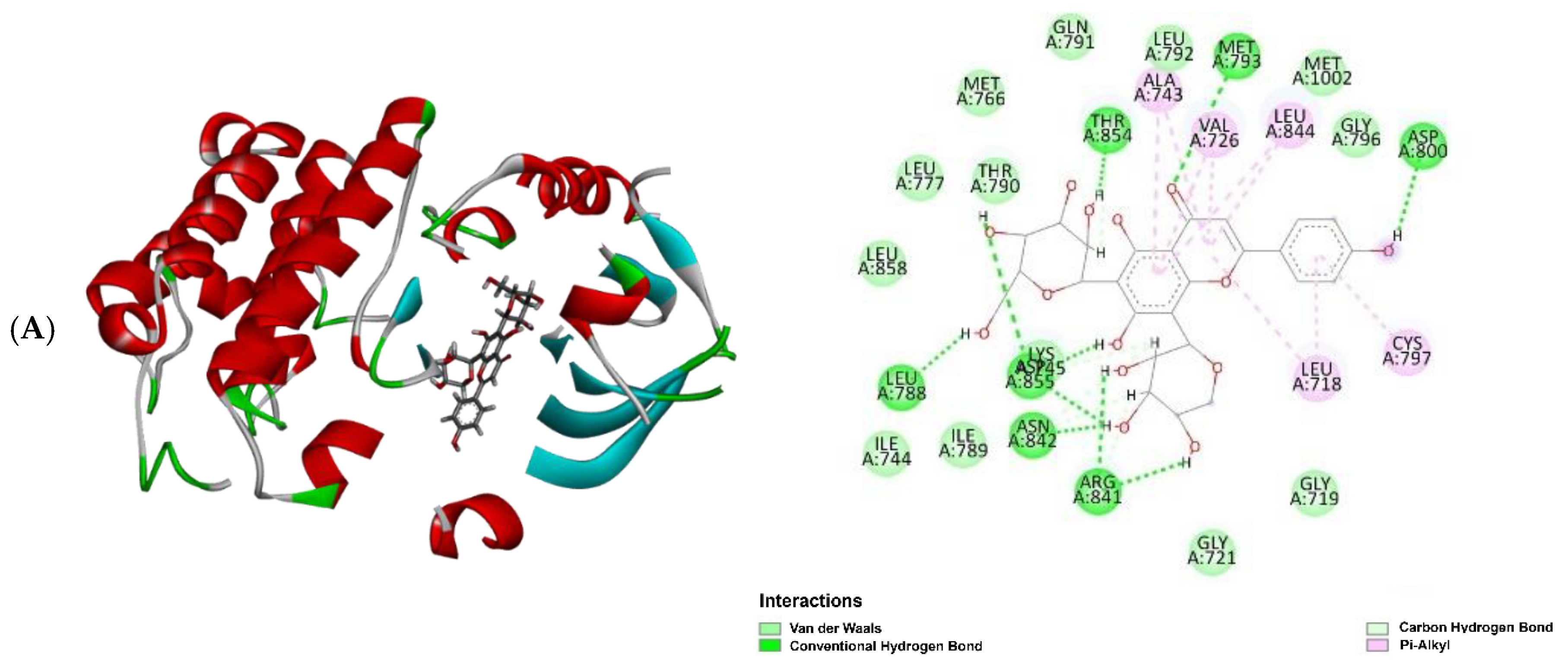 Molecules 30 03173 g009a Molecules 30 03173 g009a