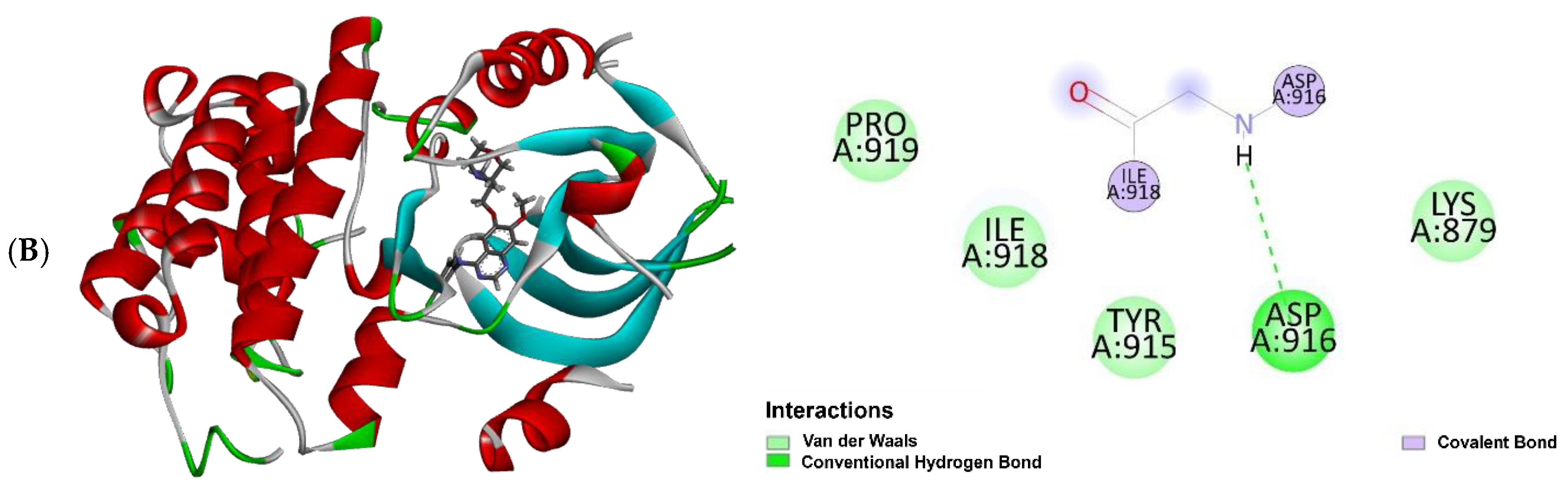 Molecules 30 03173 g009b Molecules 30 03173 g009b