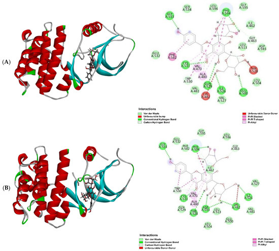 Molecules 30 03173 g010a Molecules 30 03173 g010a