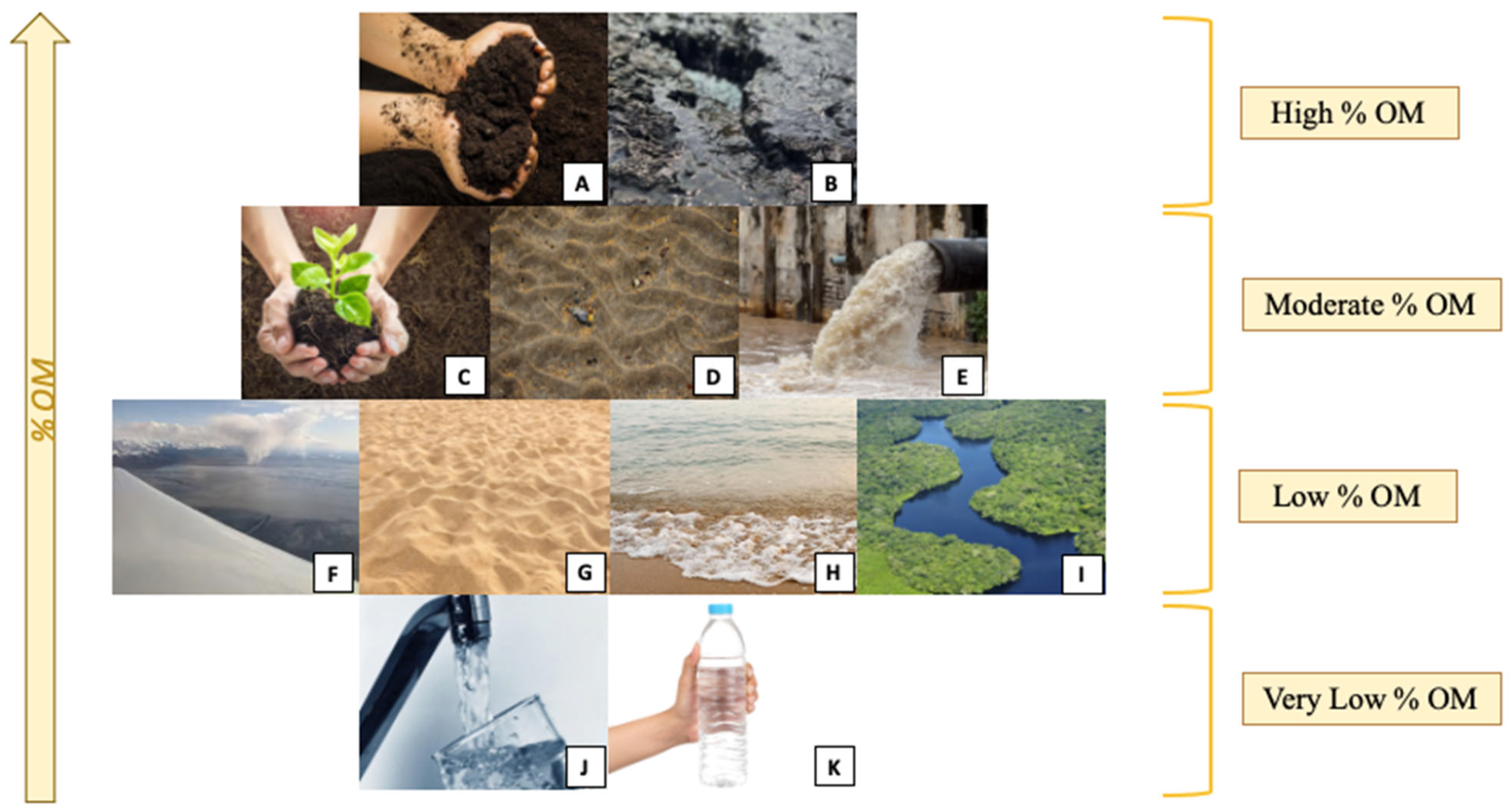 Molecules 30 03178 g003