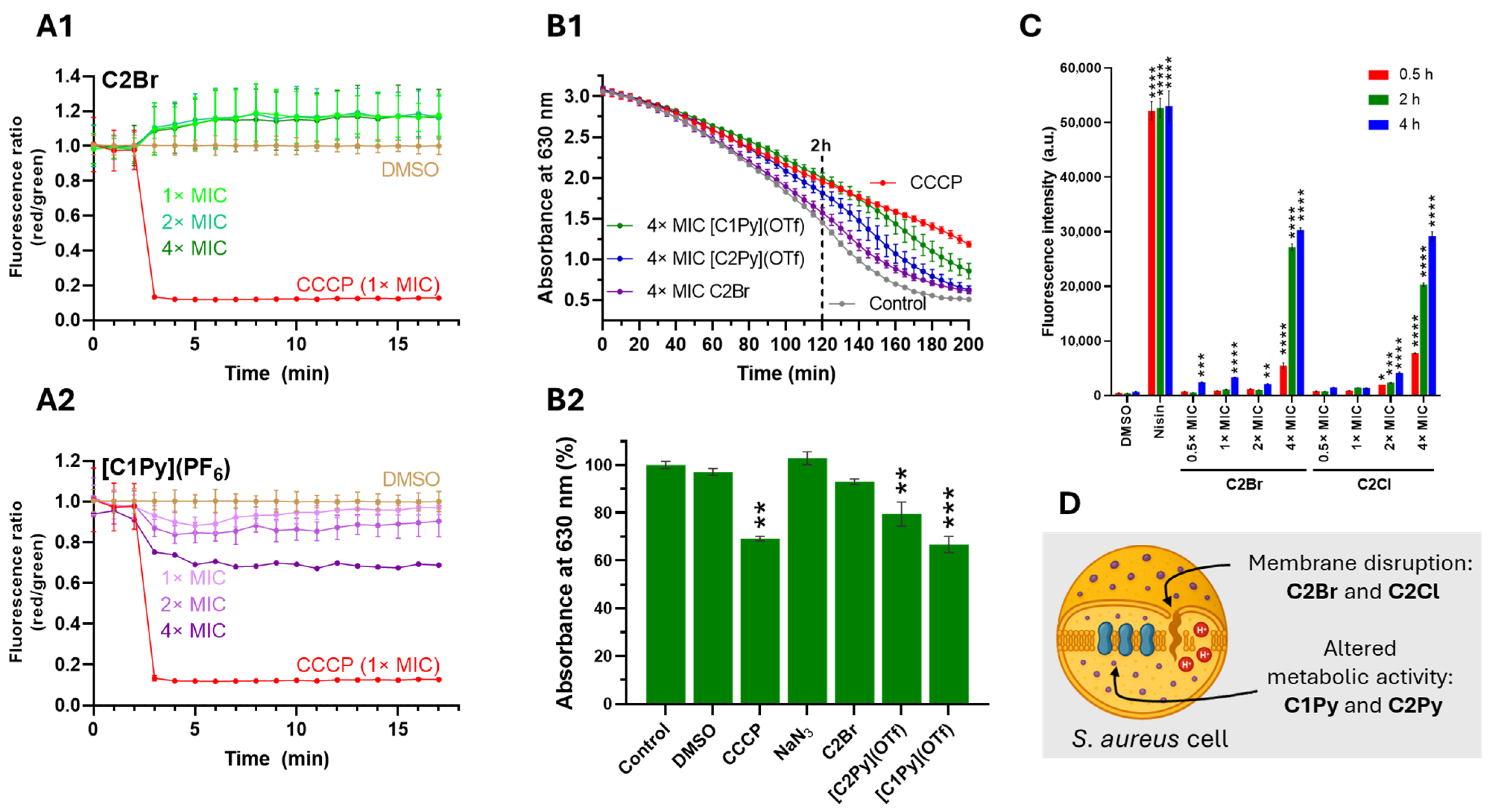 Molecules 30 03183 g006