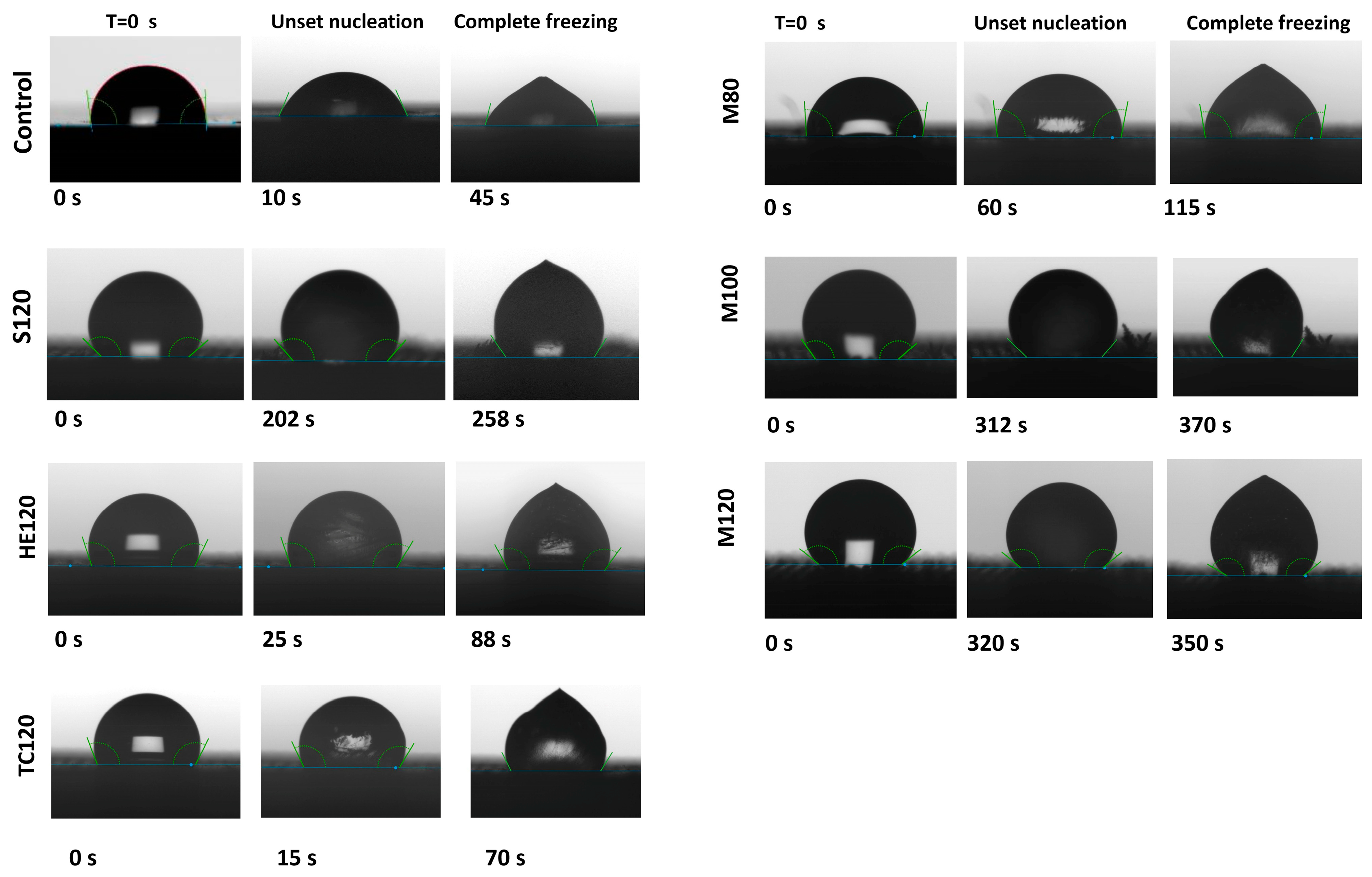 Molecules 30 03185 g007
