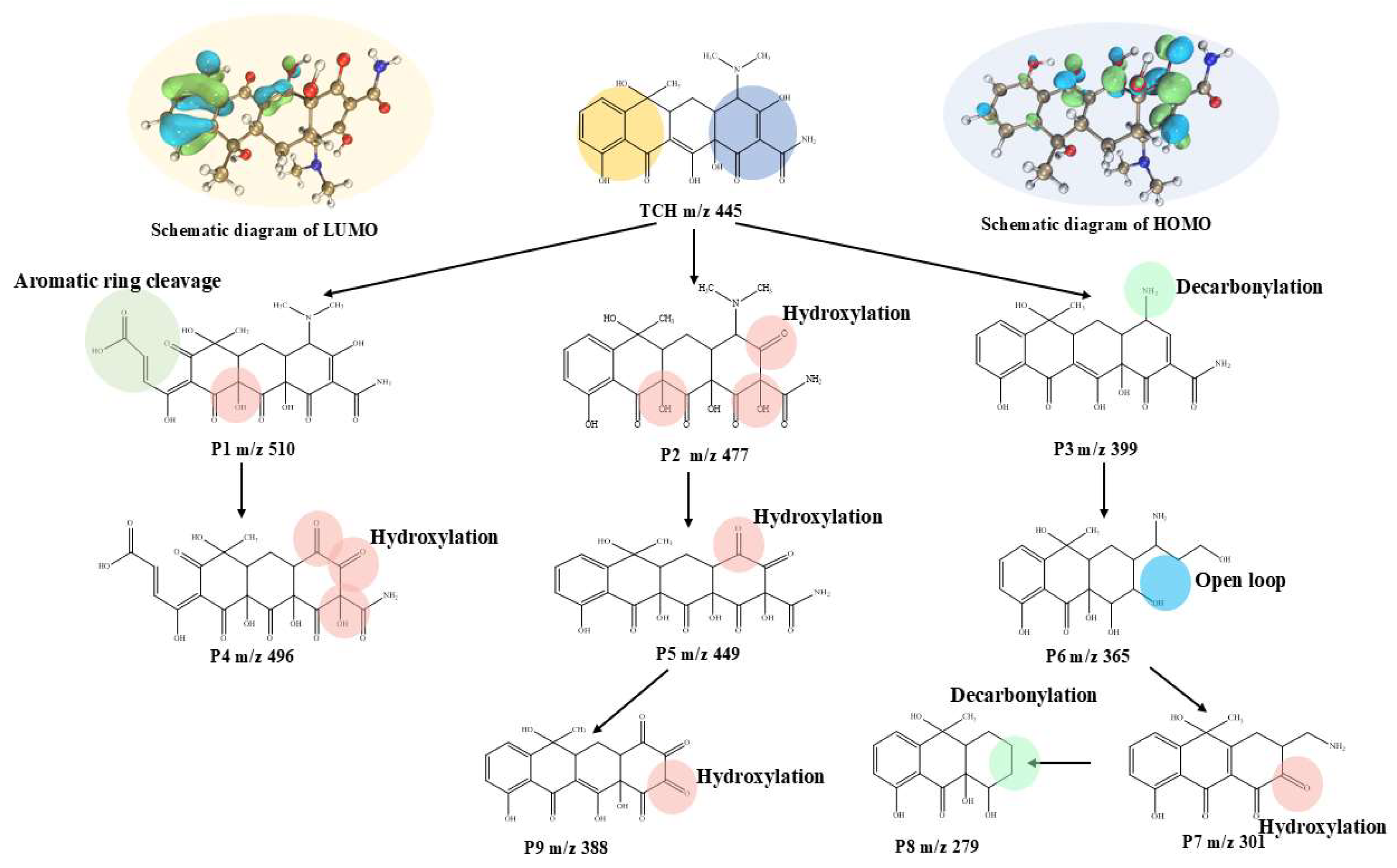 Molecules 30 03194 g007 Molecules 30 03194 g007