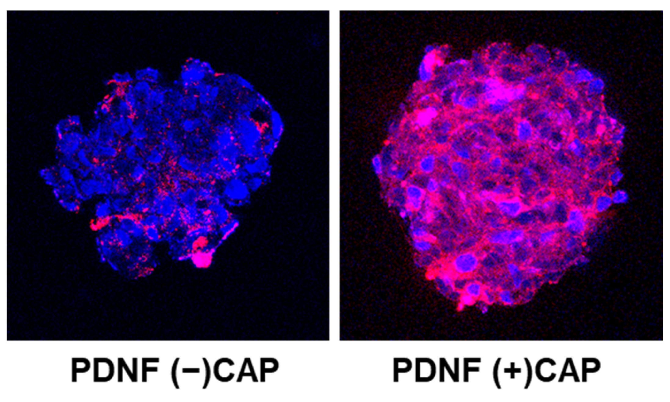 Molecules 30 03205 g004