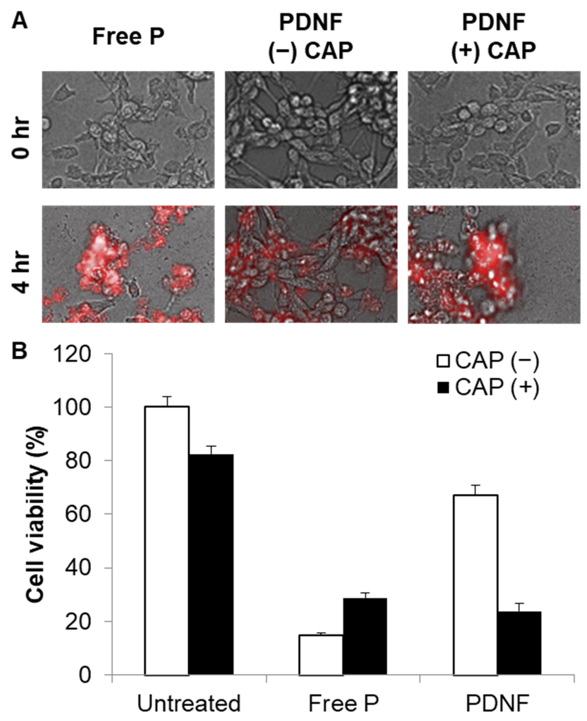 Molecules 30 03205 g005