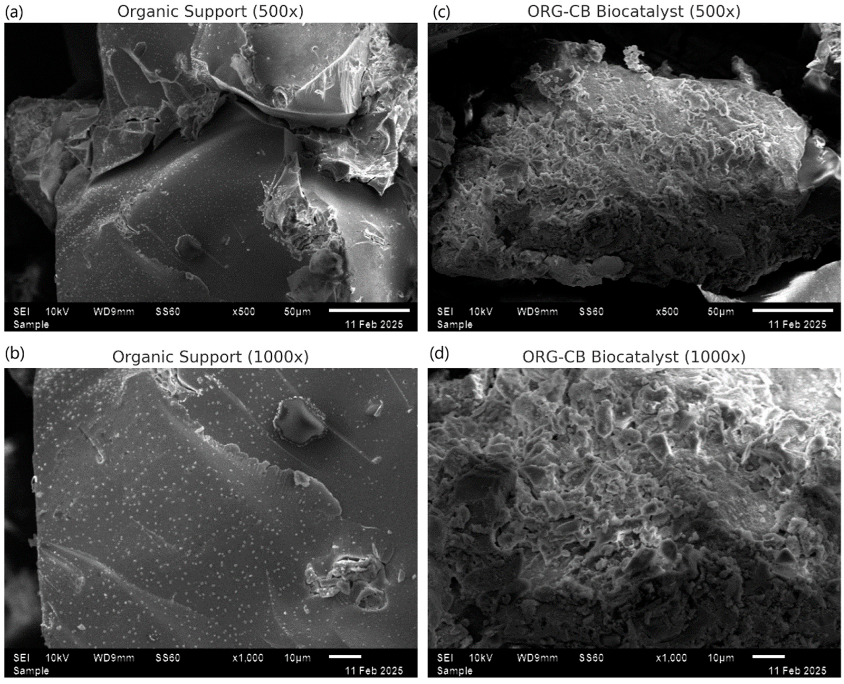 Molecules 30 03207 g006 Molecules 30 03207 g006