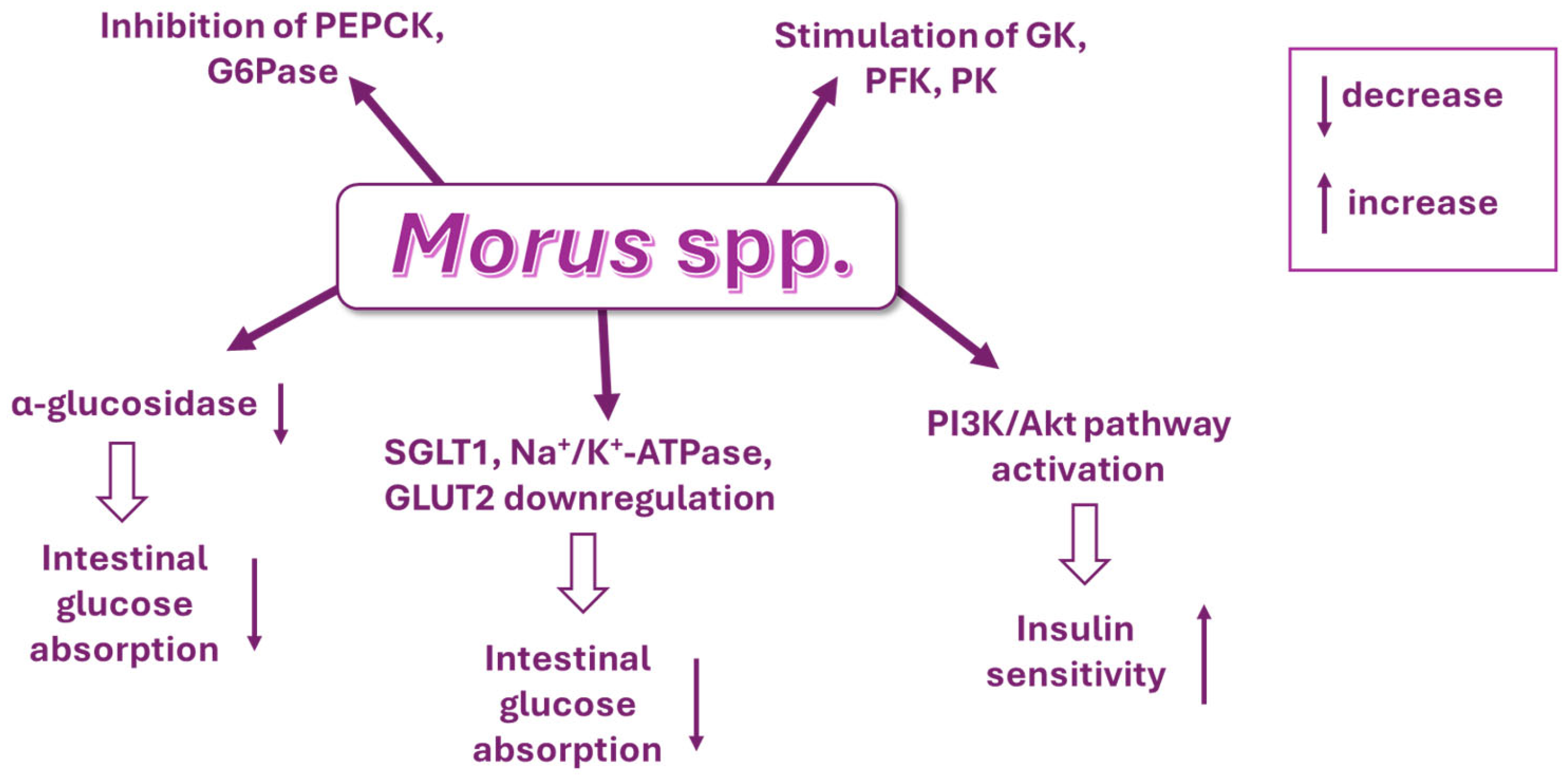 Molecules 30 03213 g004