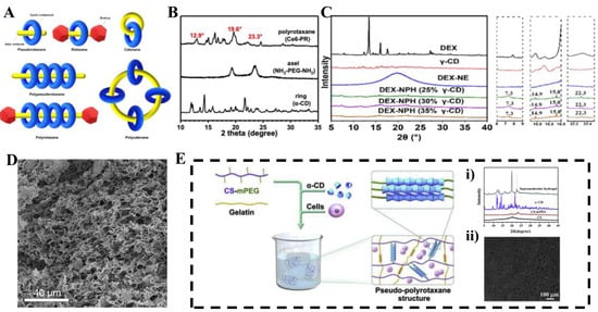 Molecules 30 03225 g001