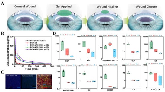 Molecules 30 03225 g004