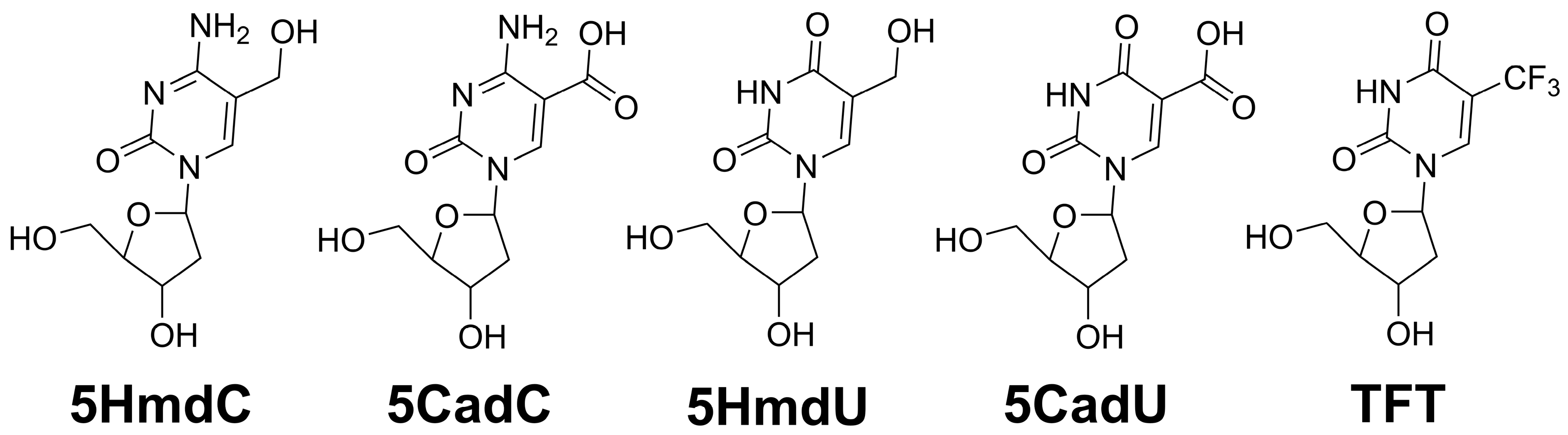 Molecules 30 03239 g001