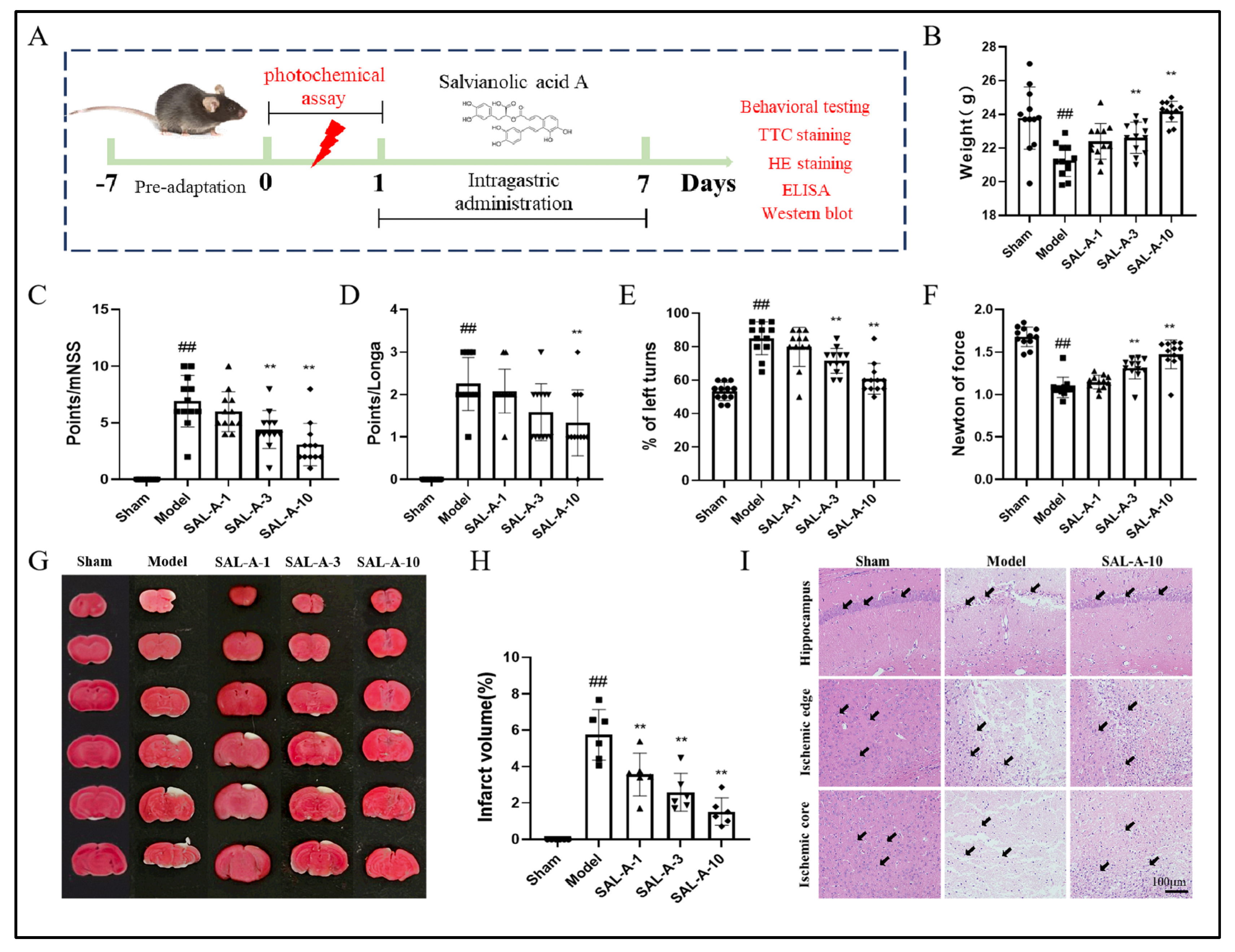 Molecules 30 03266 g001