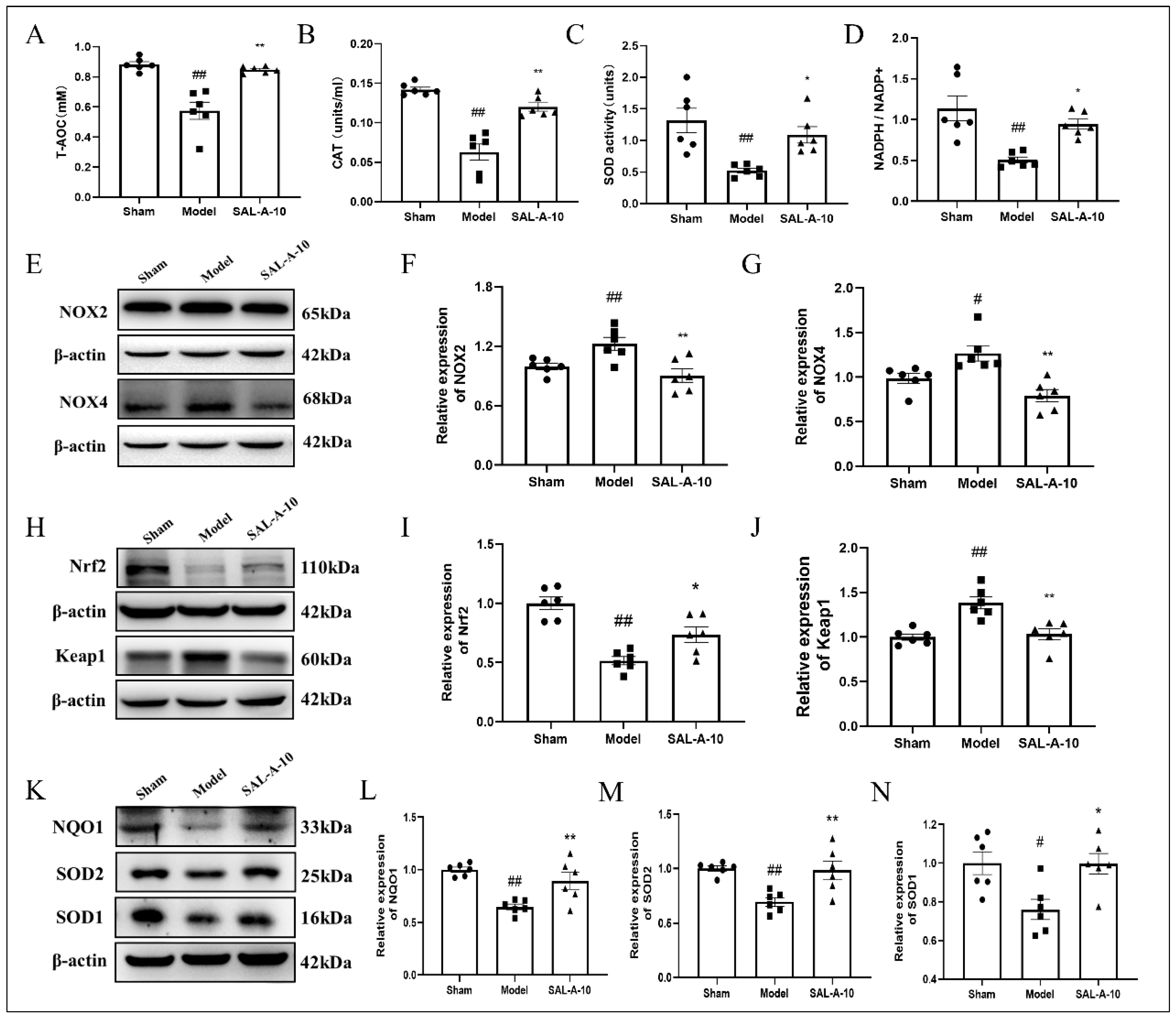 Molecules 30 03266 g002